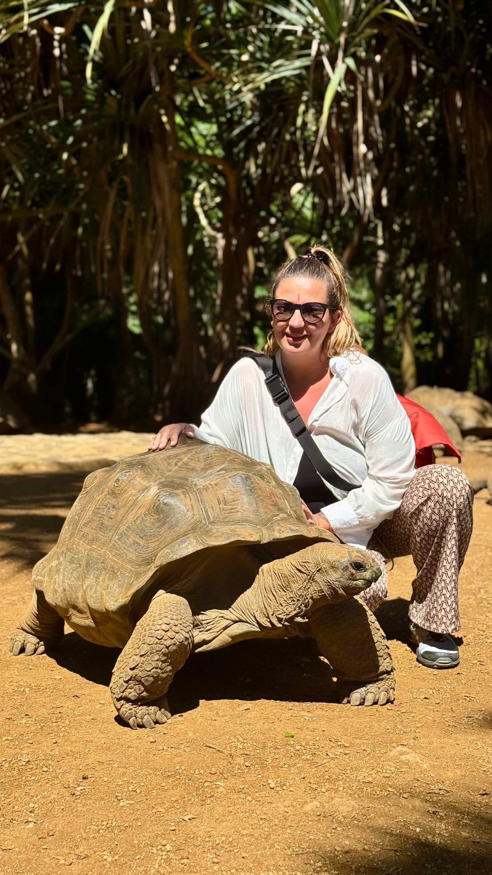 Kiss Molnar Dora portfolio