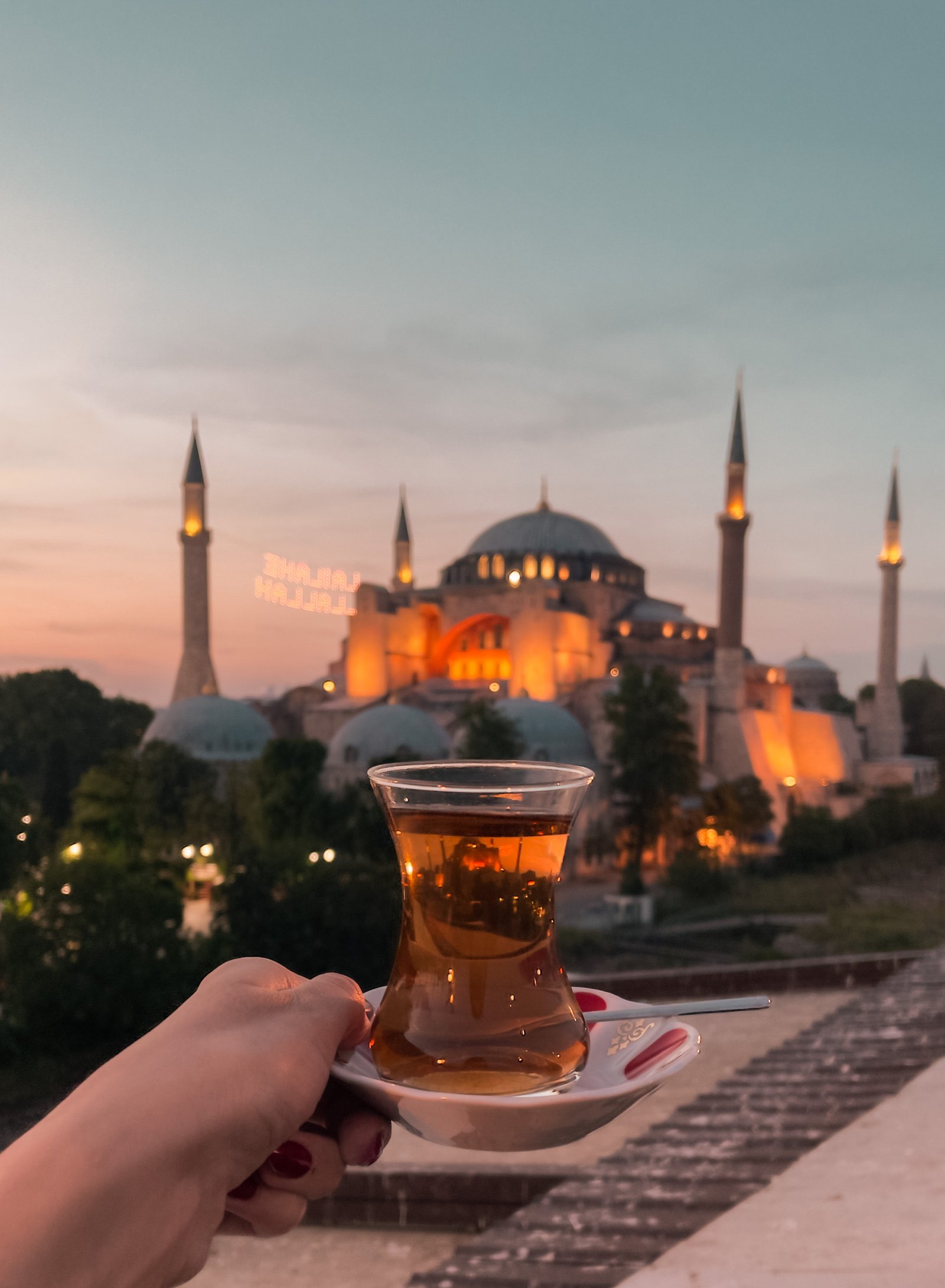 Herczeg Fanni portfolio