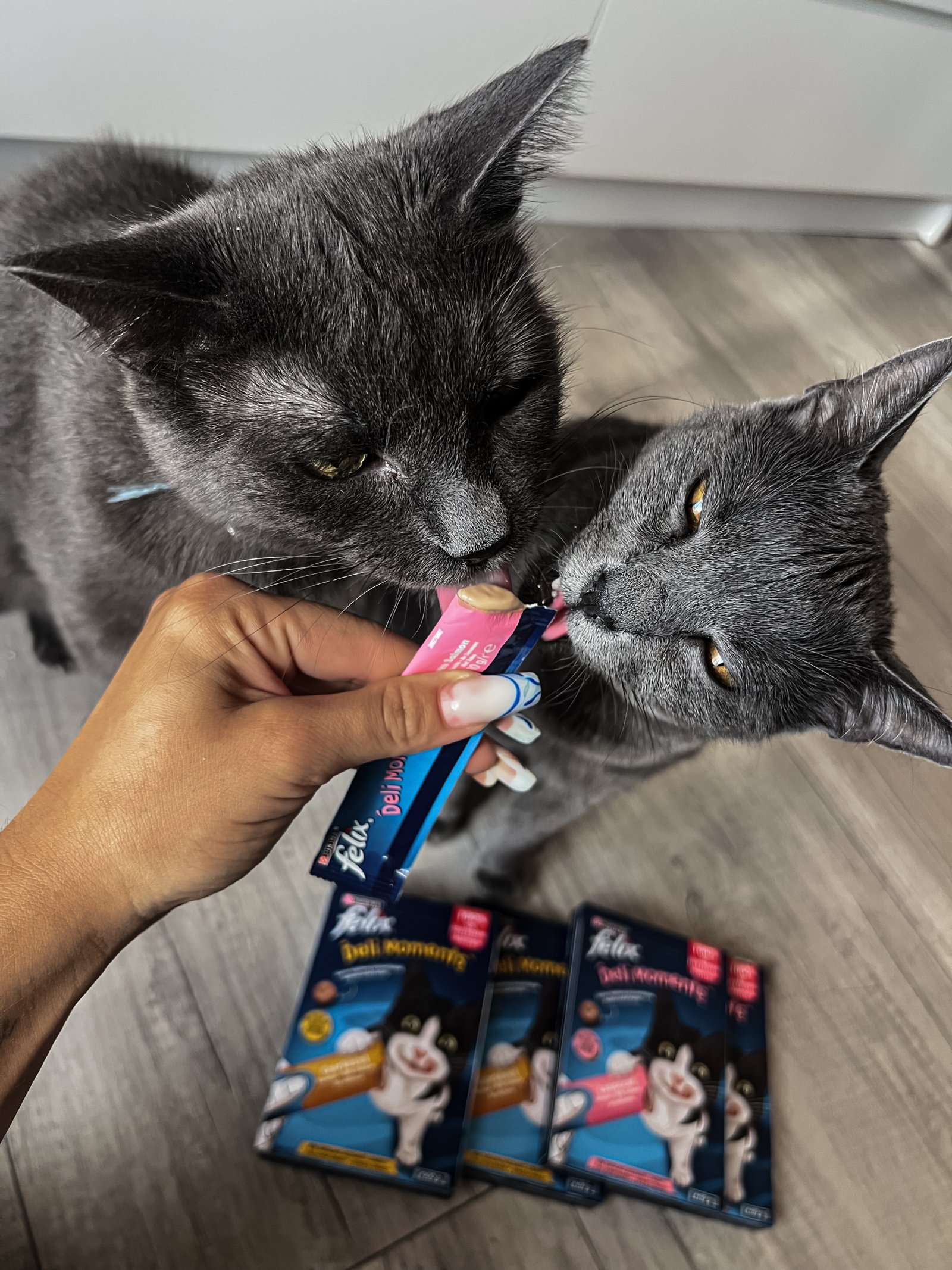 Kálmán Fanni portfolio