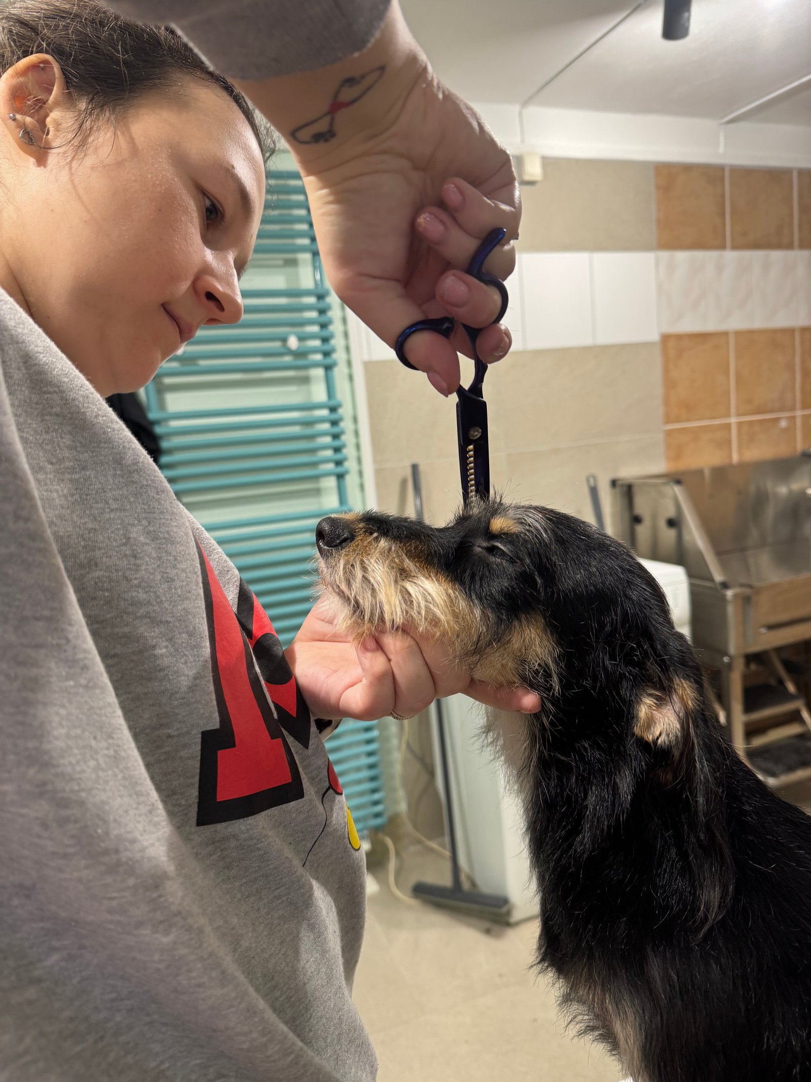 Bozsik Zsanett portfolio