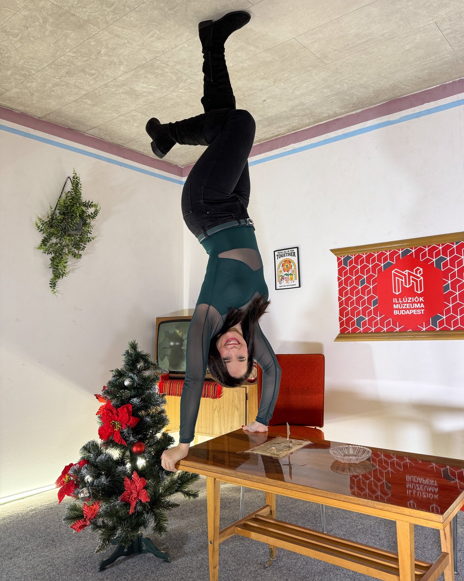 Gajdos Borbála portfolio