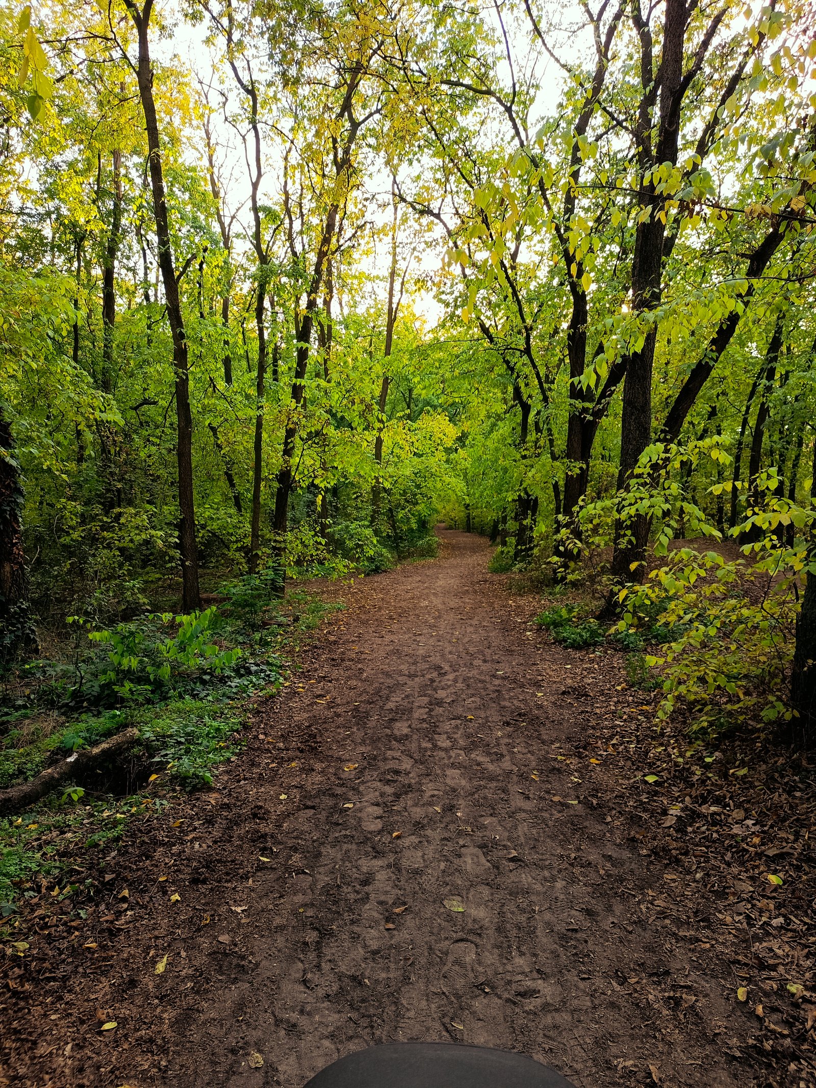 Serfőző-Kántor Bernadett portfolio