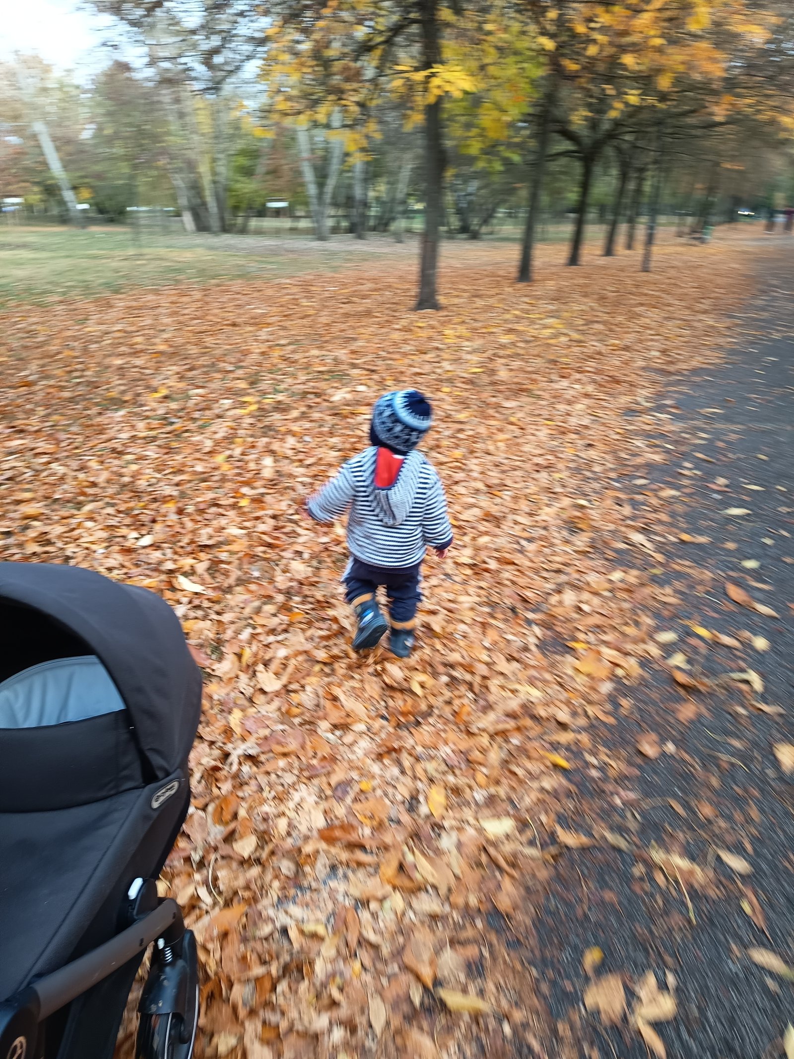 Serfőző-Kántor Bernadett portfolio