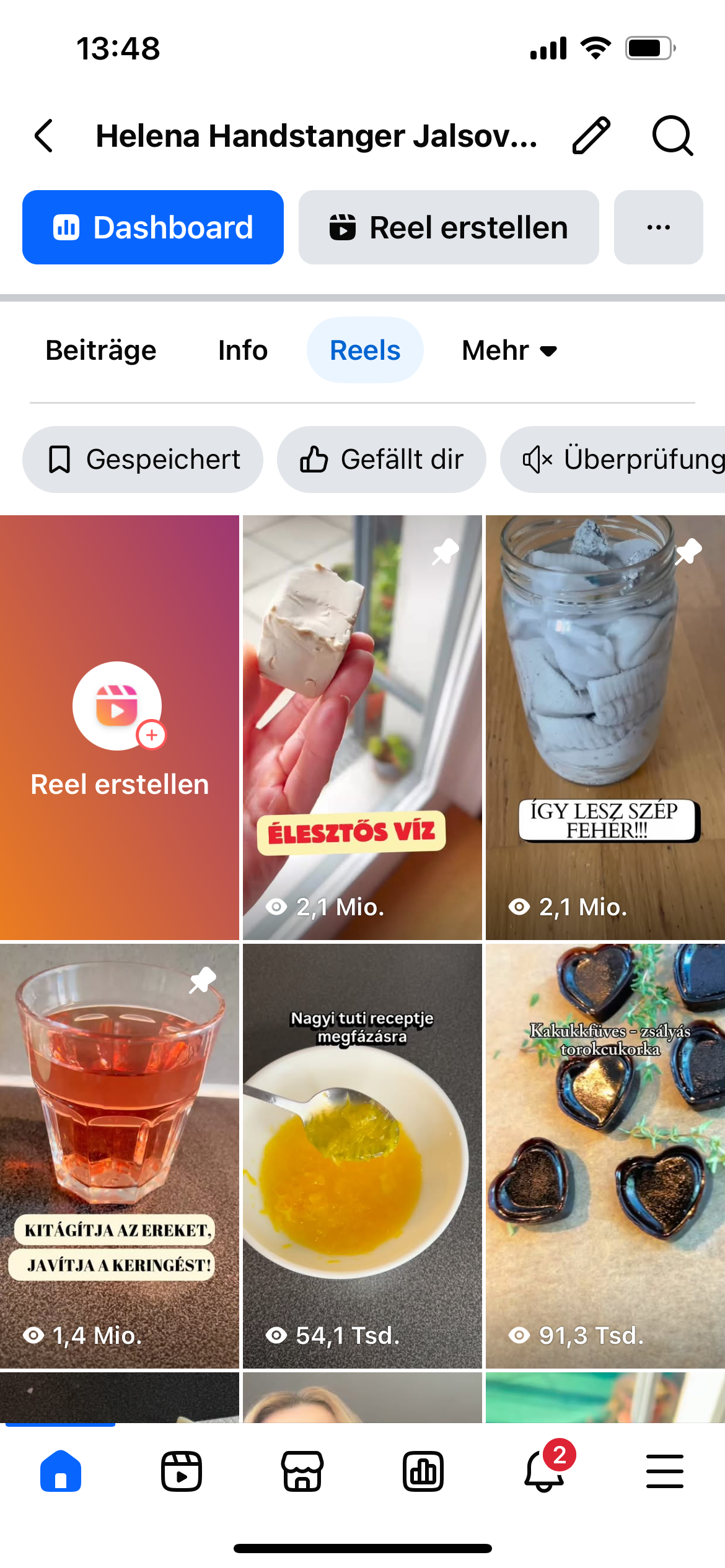 Helena Handstanger portfolio