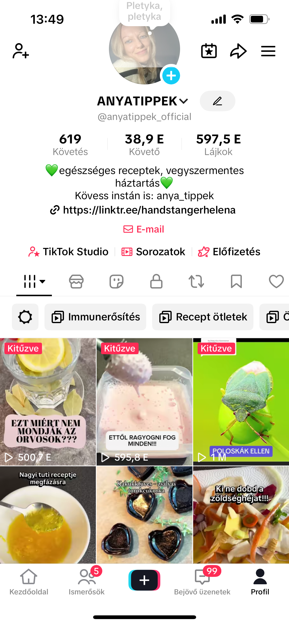 Helena Handstanger portfolio