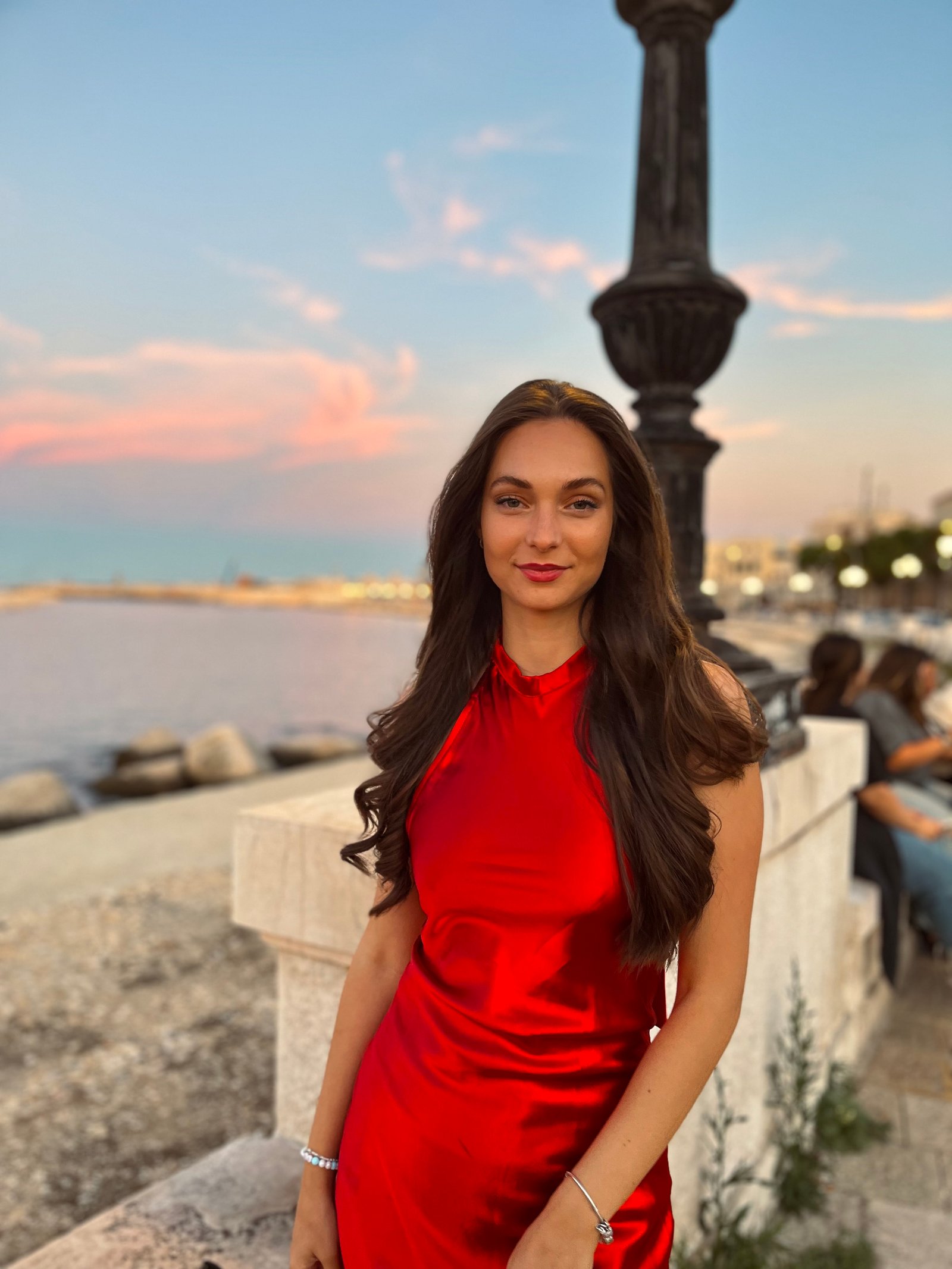 Temesvári-Székelyhidi Brigitta portfolio