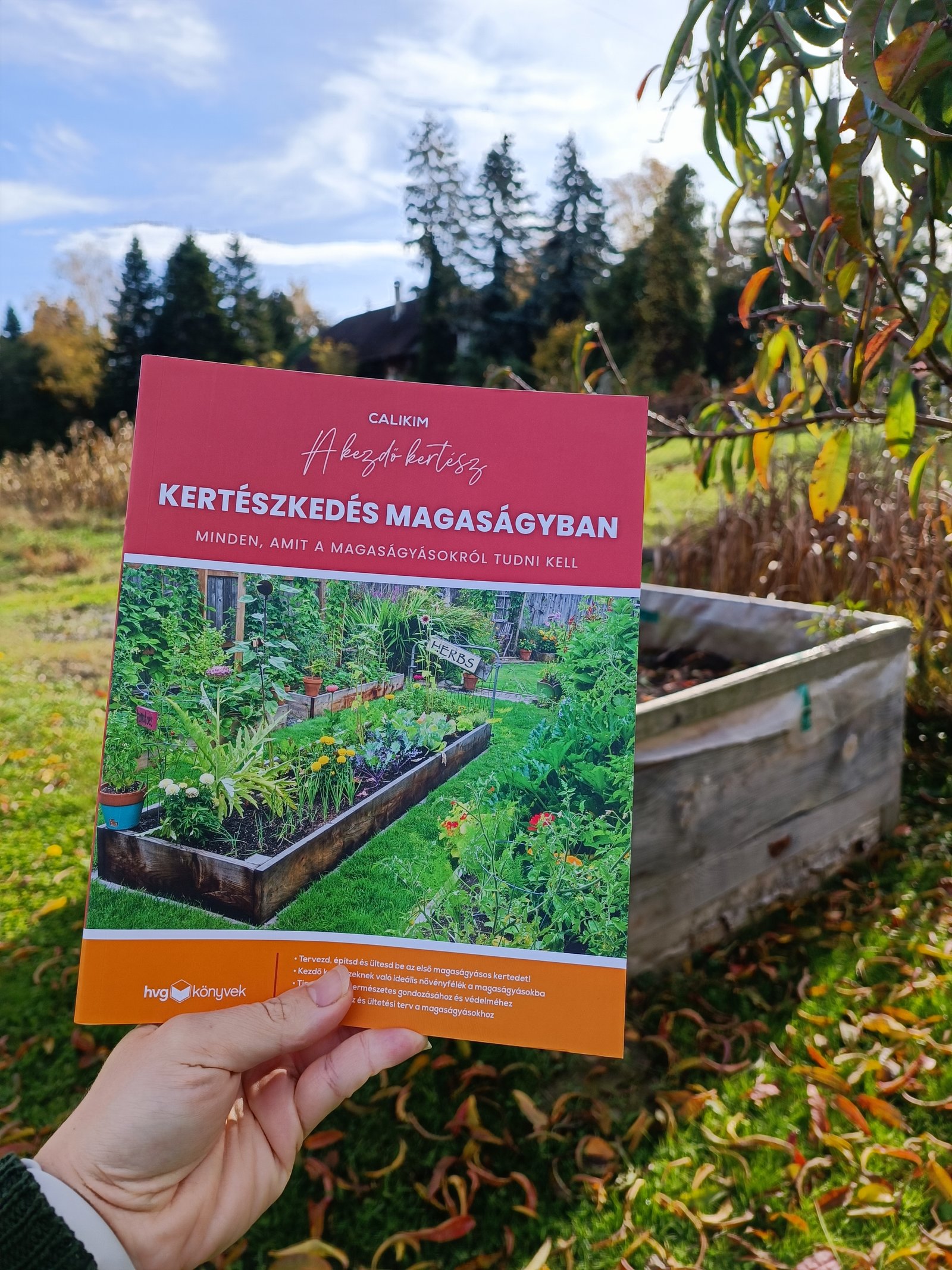 Kása Andrea portfolio