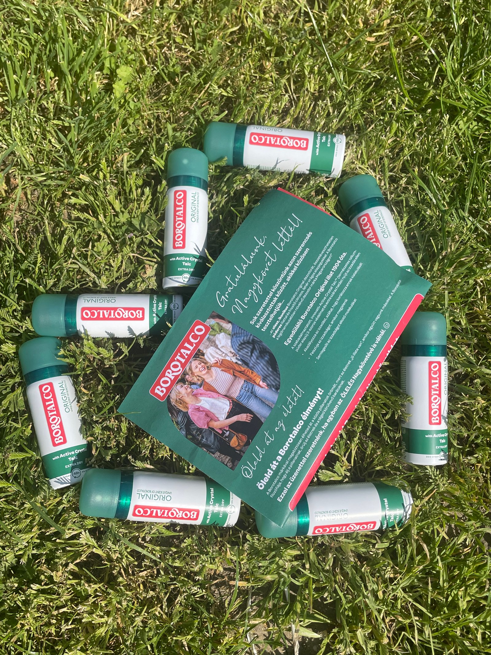 Szabóné Horváth Nikolett Alexandra portfolio