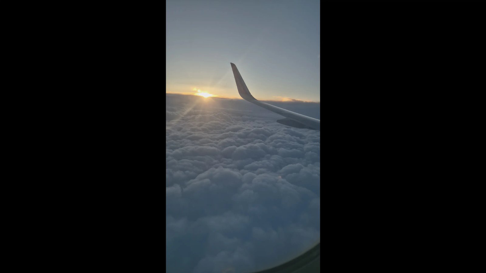 Biró Boglárka portfolio