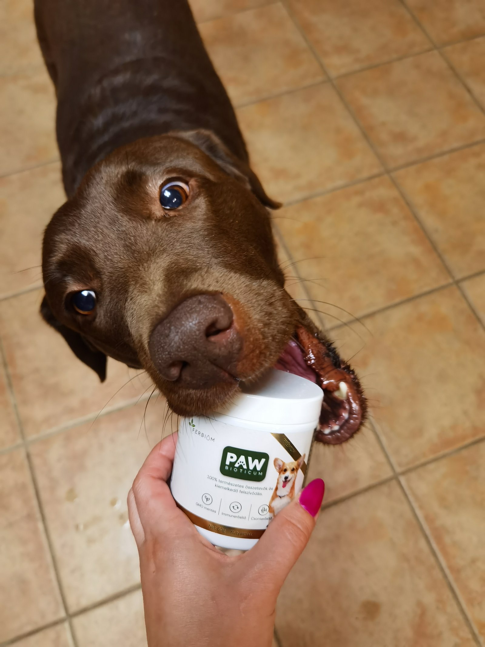 Ragoncsa Petra portfolio