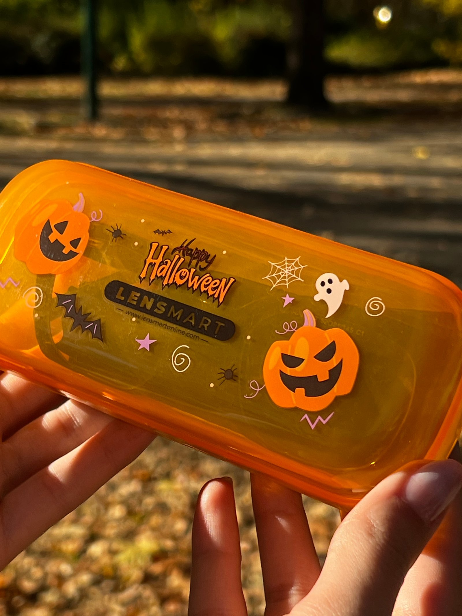 Pallai Ami portfolio