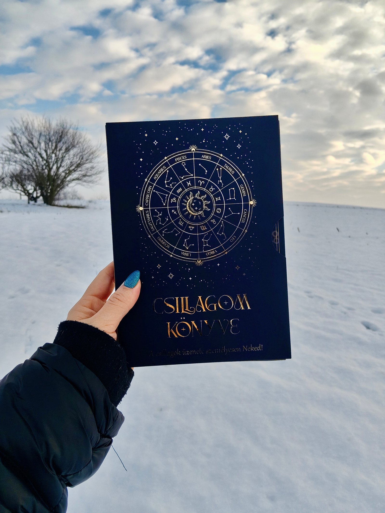 Gali-Bayerle Laura portfolio