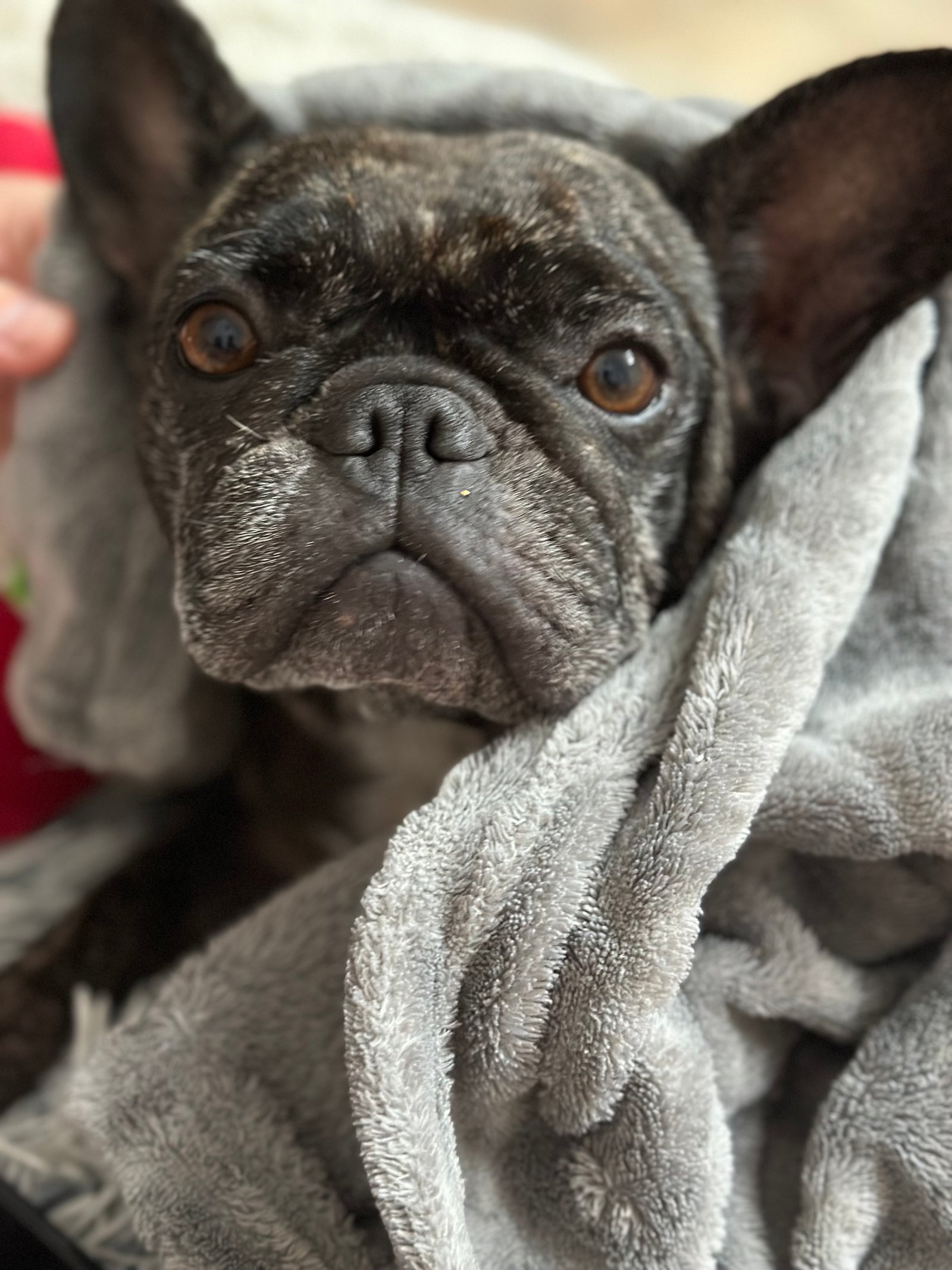 Kopena Alexandra portfolio