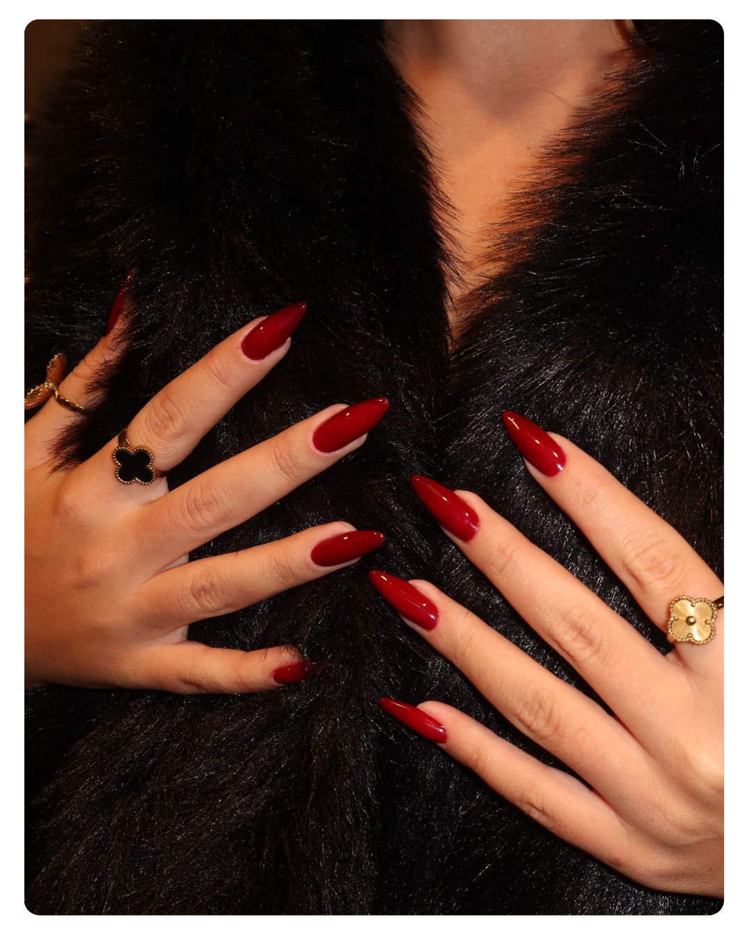 Violetta Vass portfolio