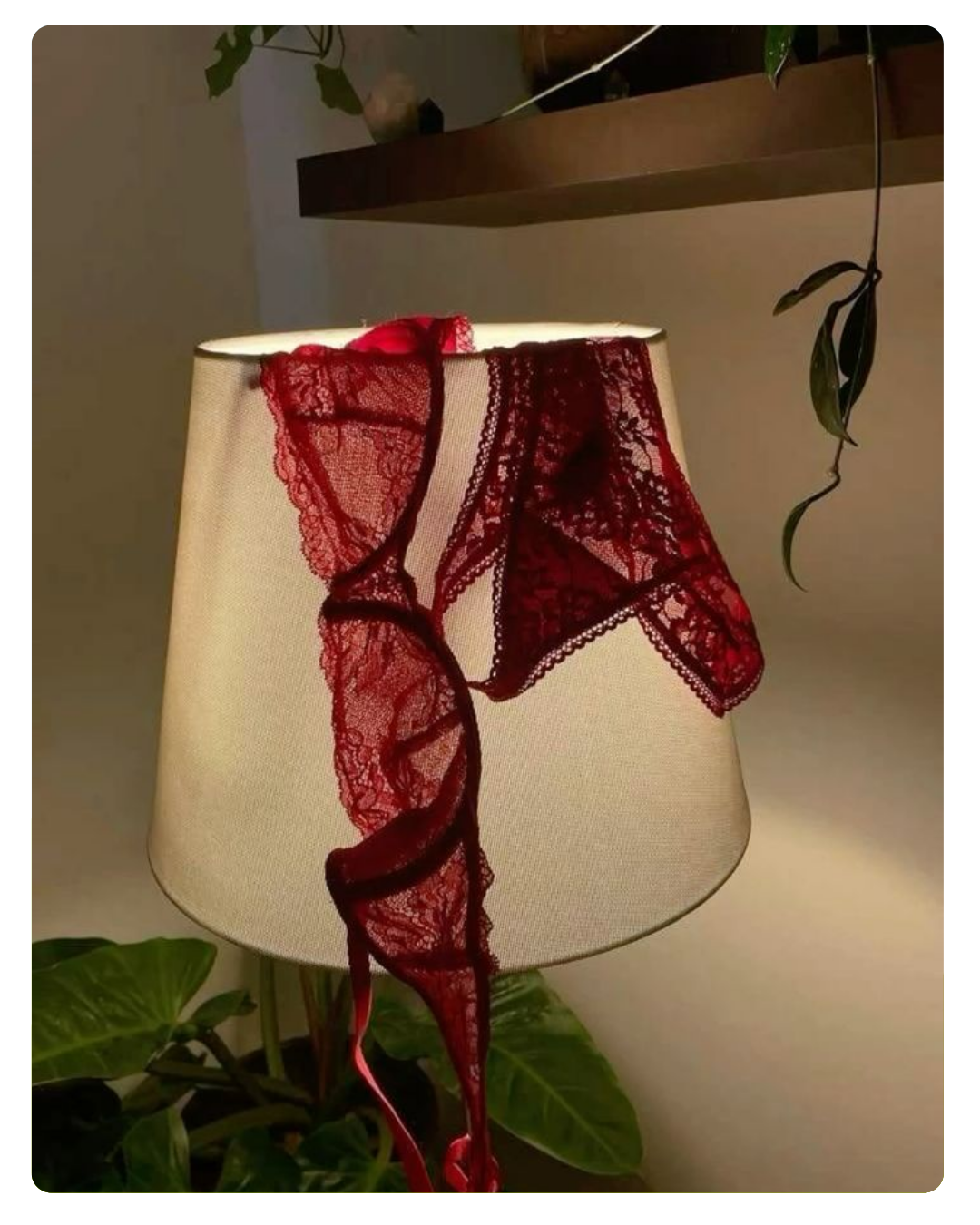 Violetta Vass portfolio