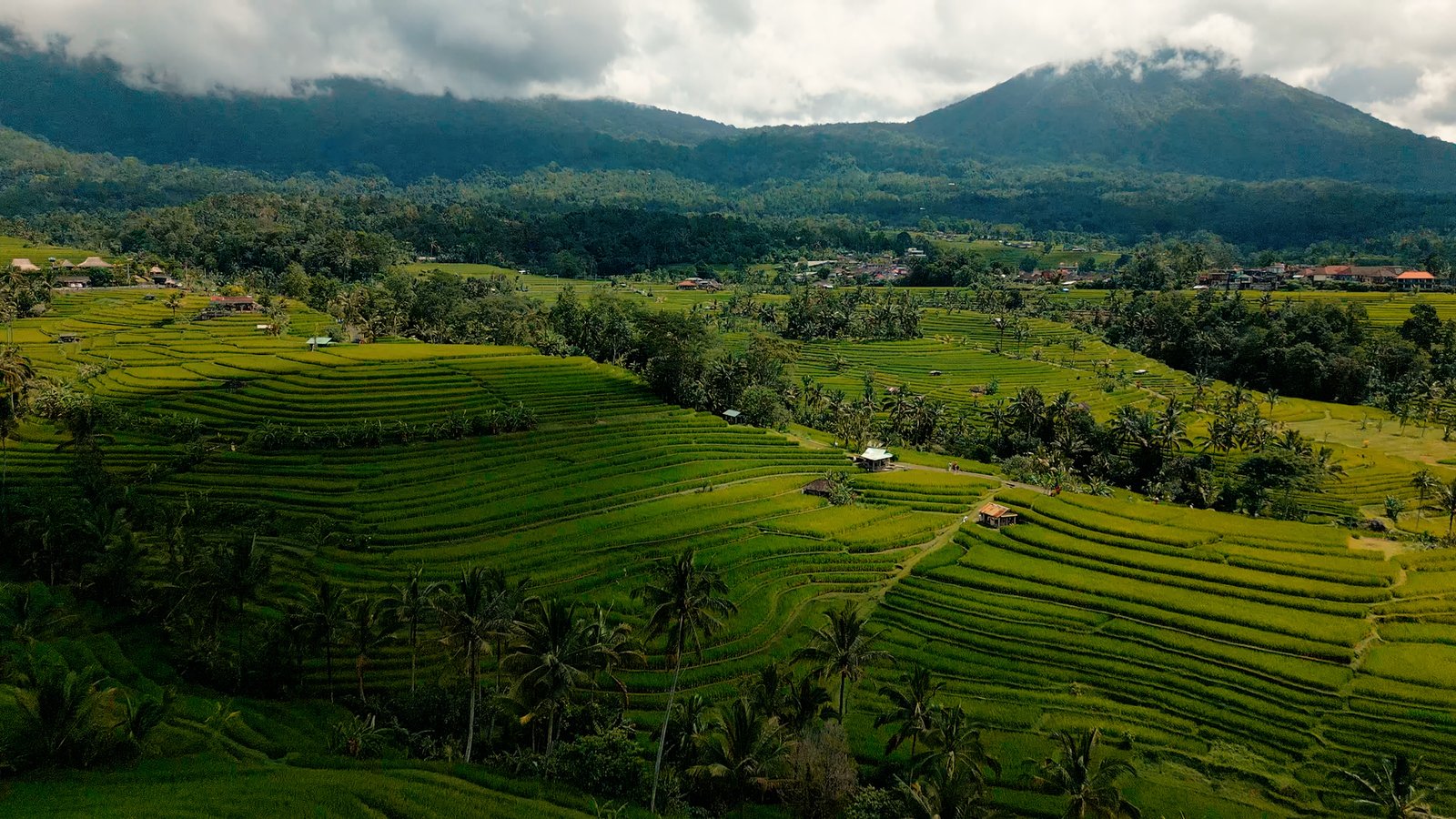 Tóth Máté portfolio