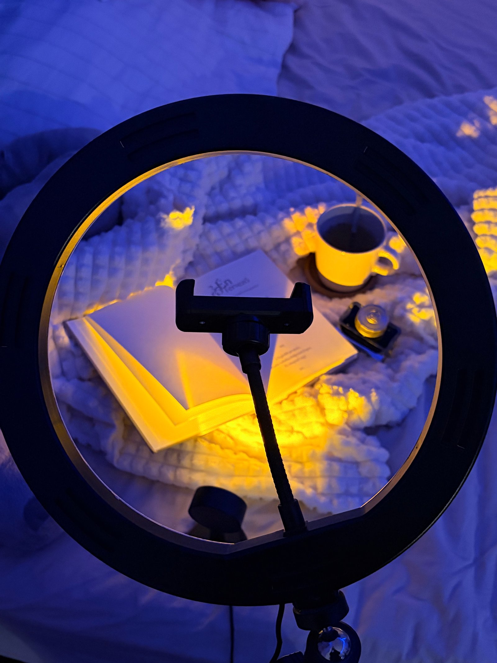 Nemes Luca portfolio