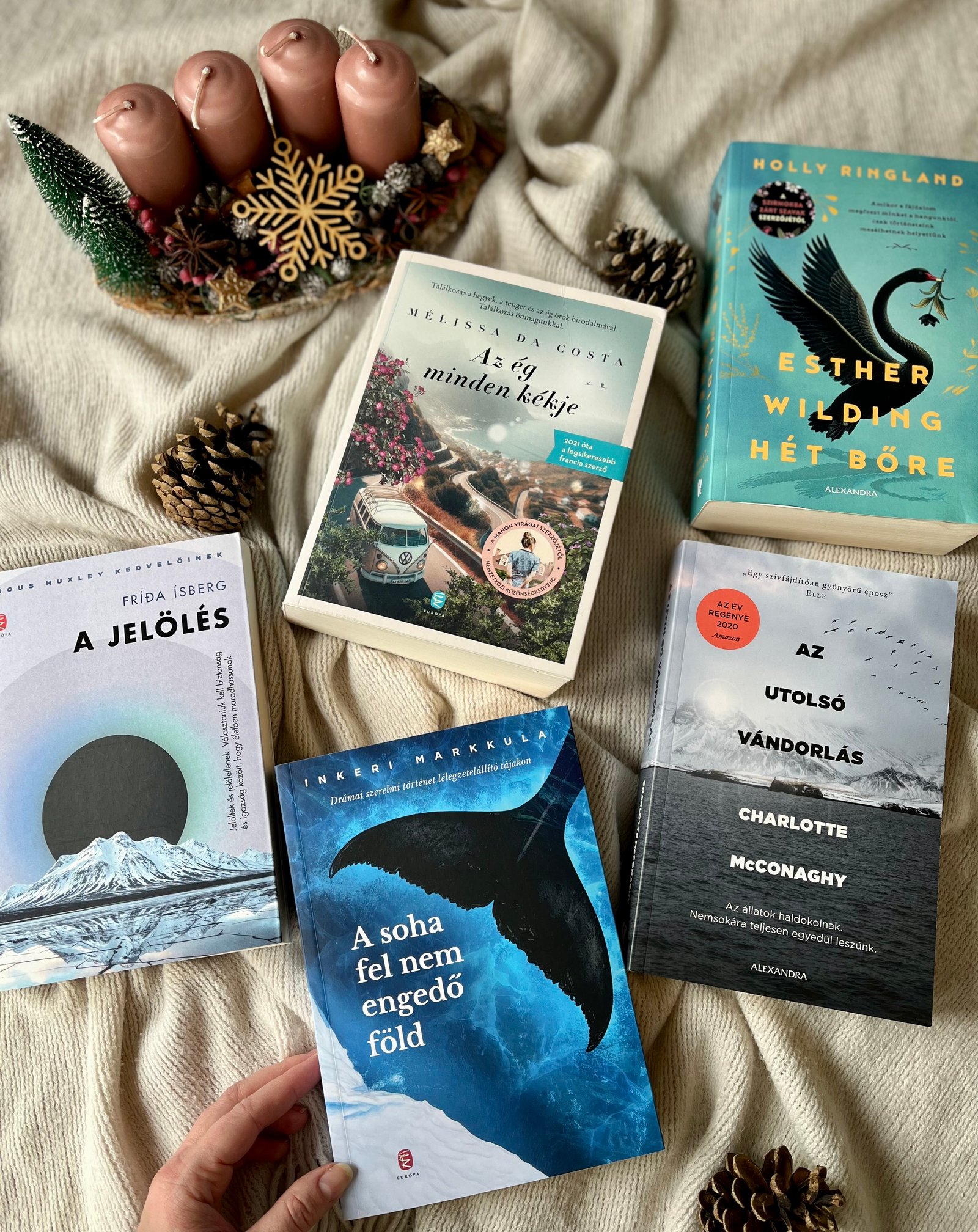 Rák-Hőhl Nikolett portfolio