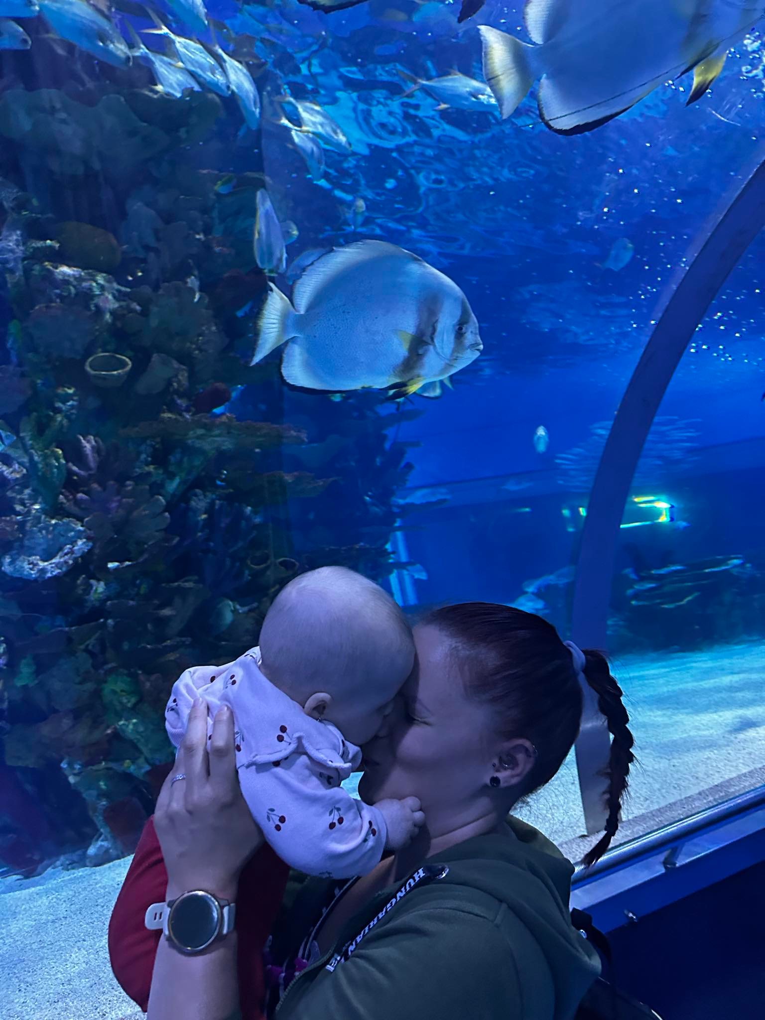 Törjék Nikoletta portfolio