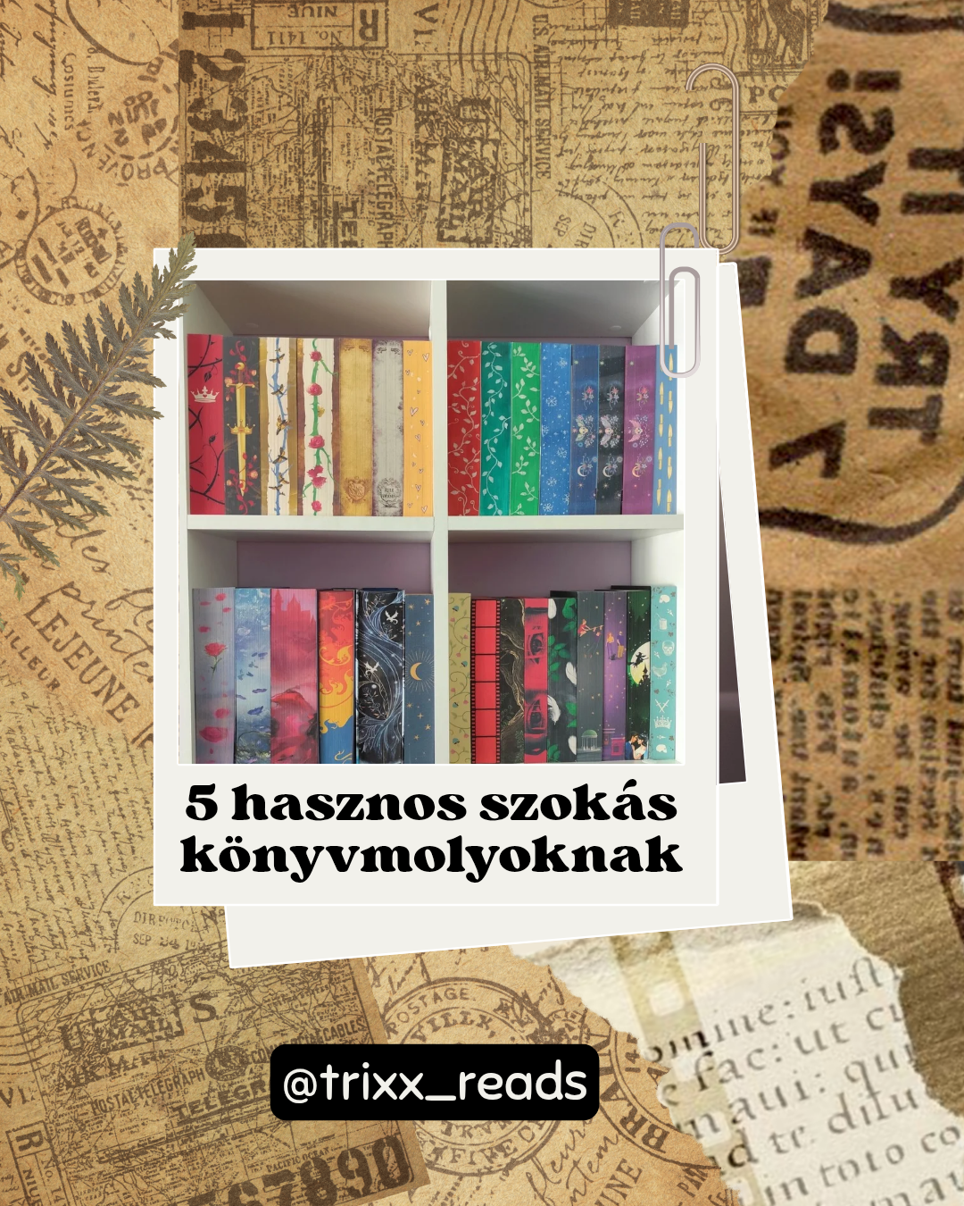 Csányi Beatrix portfolio