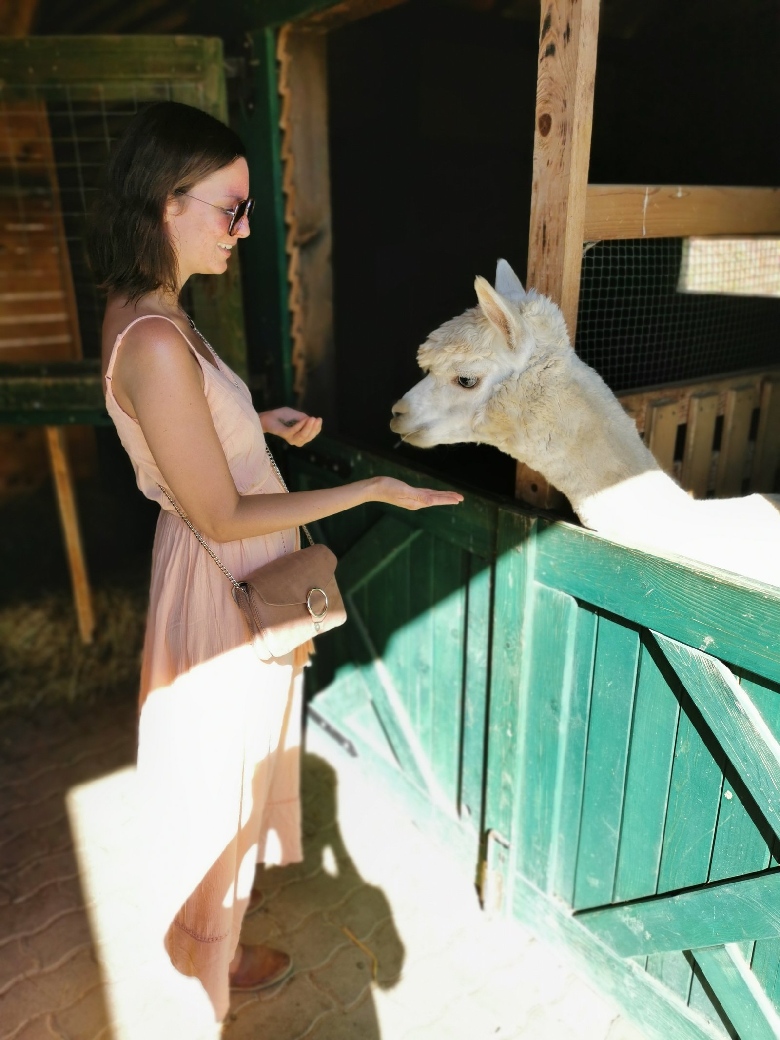 Pertl Petra portfolio