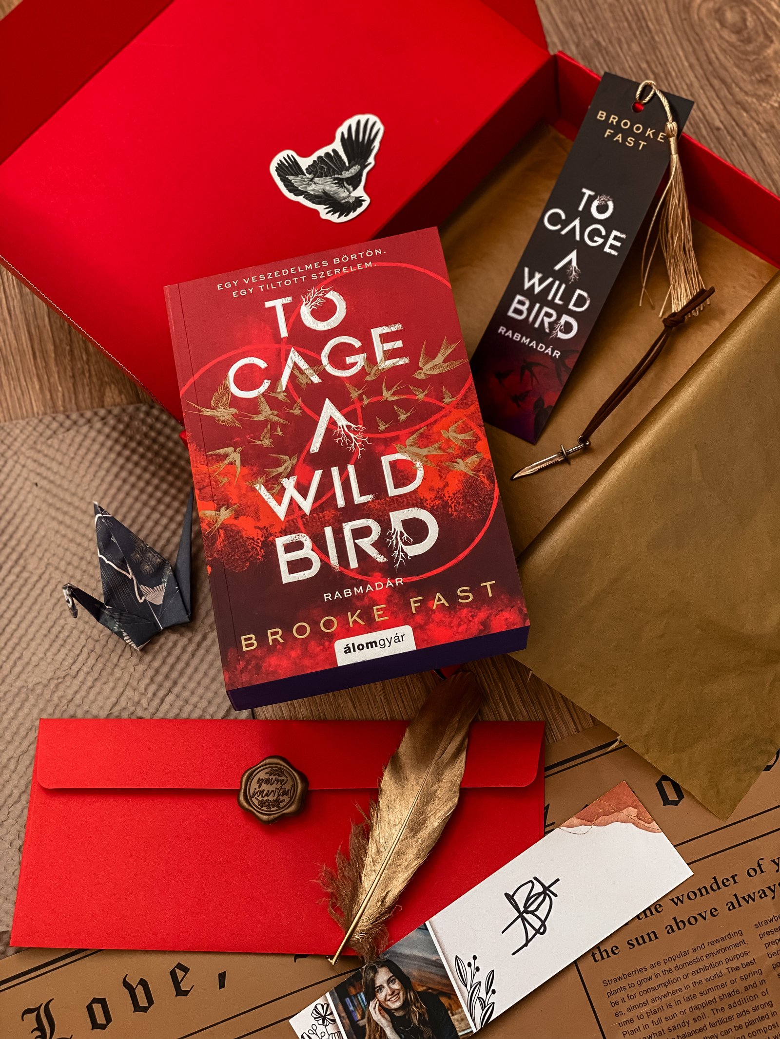 Kissné Inokai Fanni portfolio