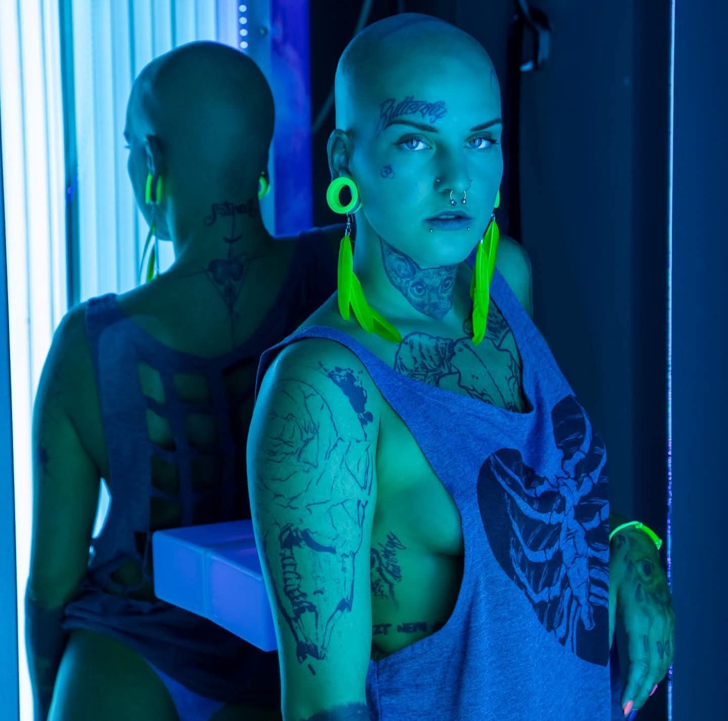 Erdős Viola portfolio