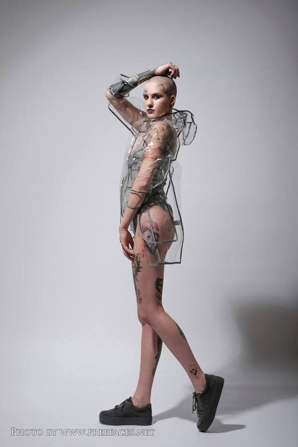 Erdős Viola portfolio