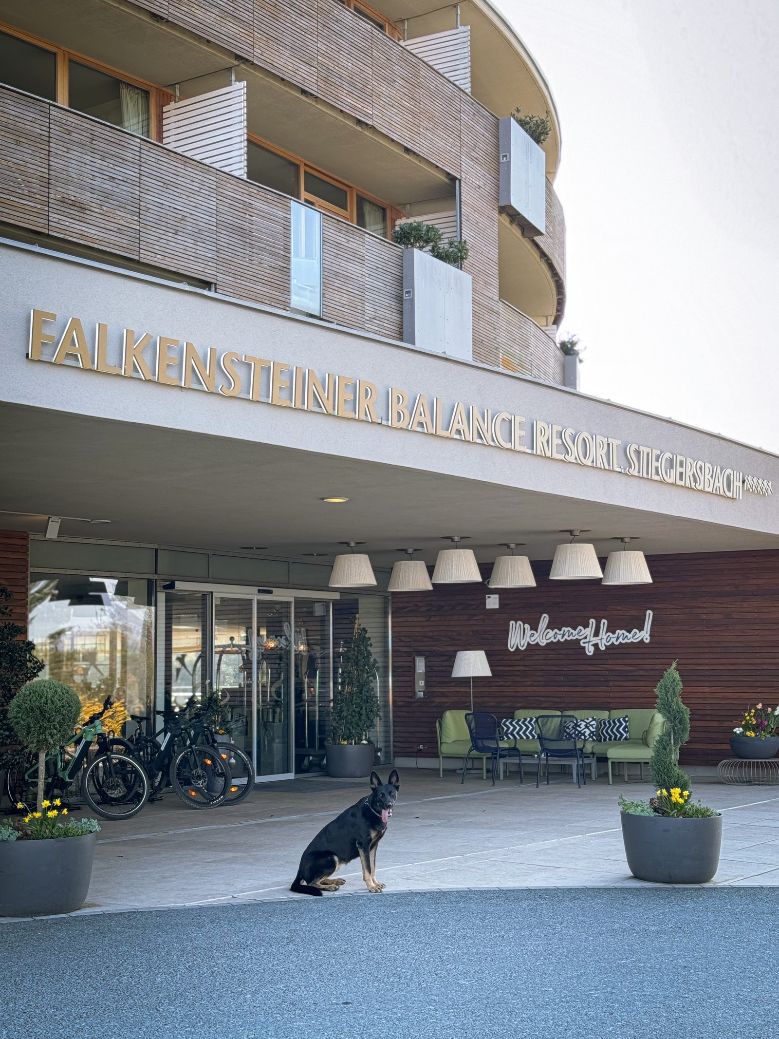 Böjte Csenge portfolio