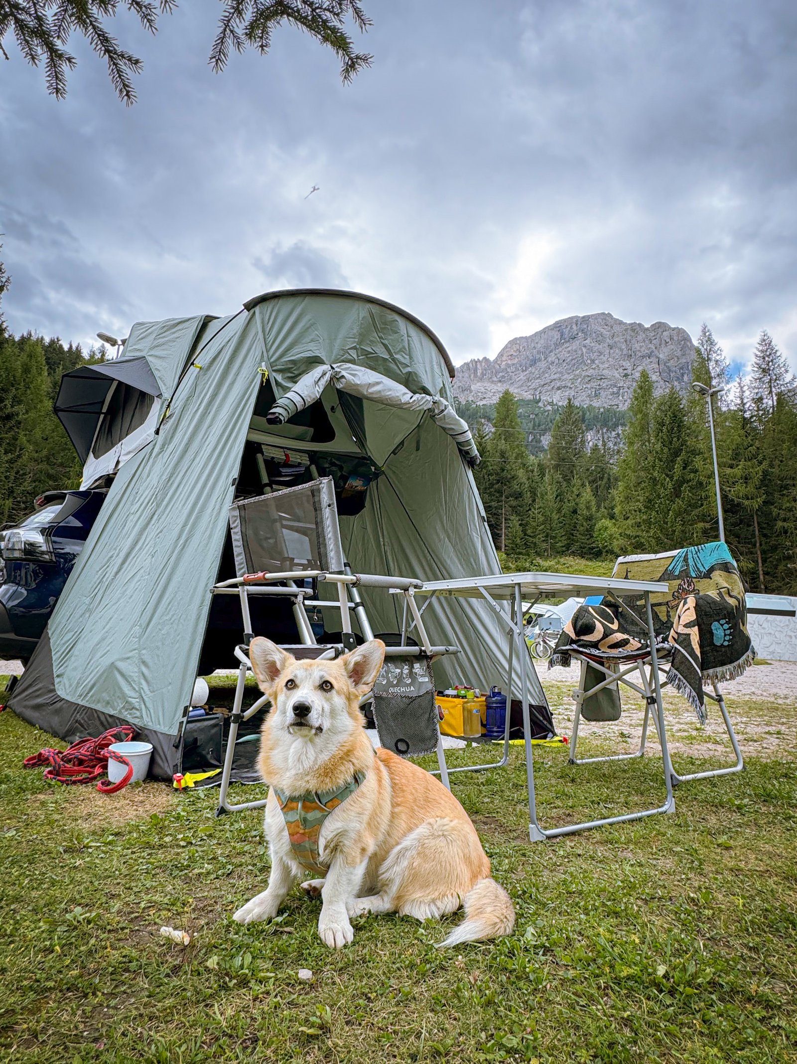 Böjte Csenge portfolio