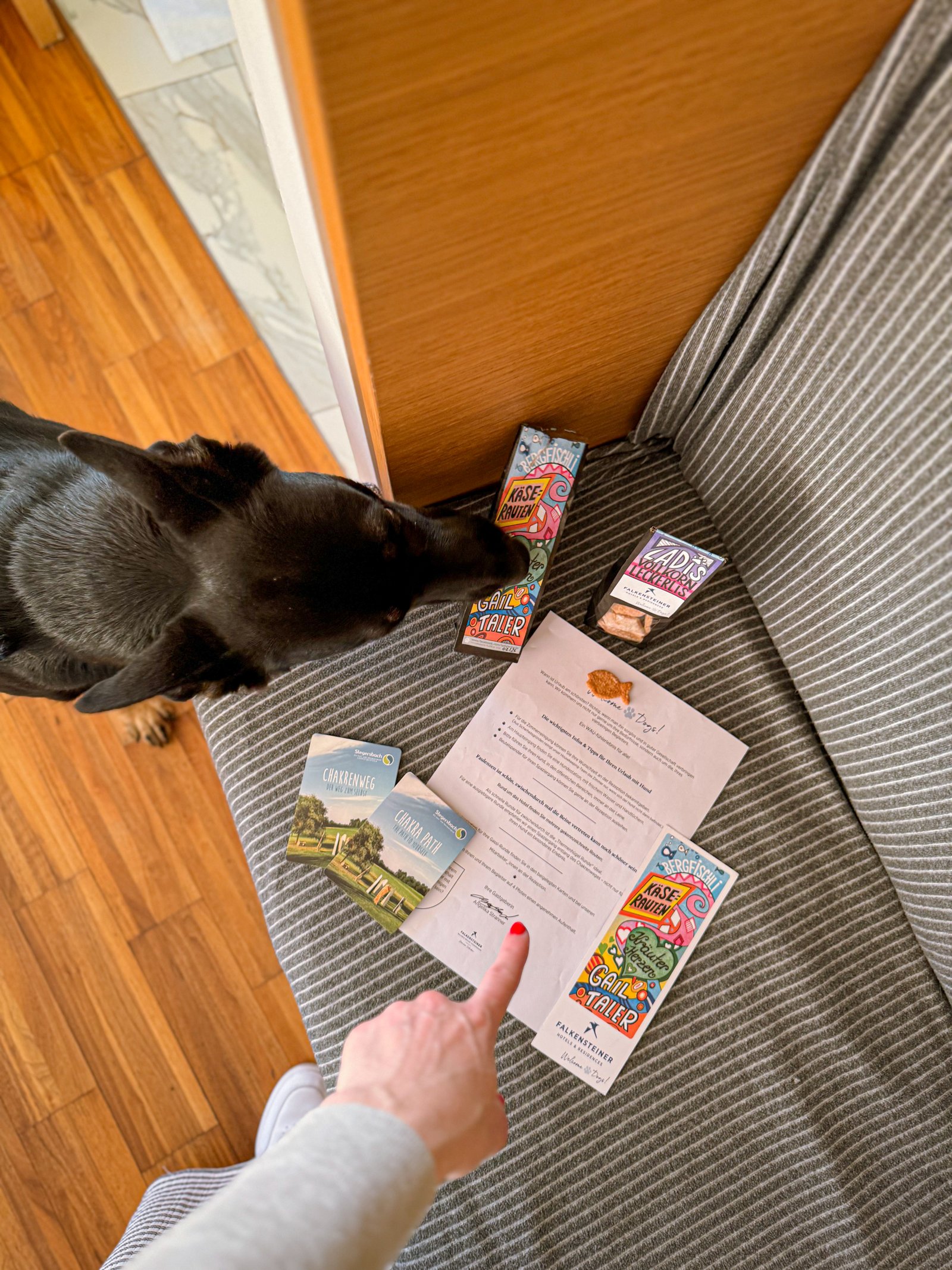 Böjte Csenge portfolio