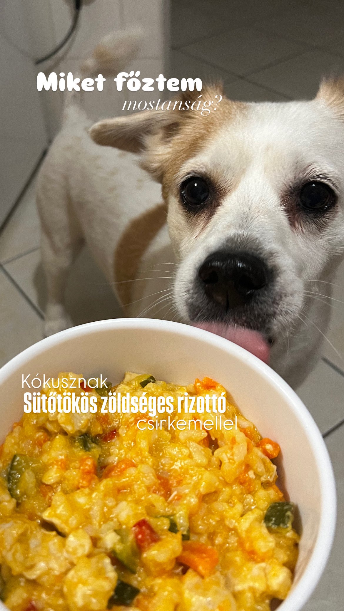 Fruchter Nikolett portfolio