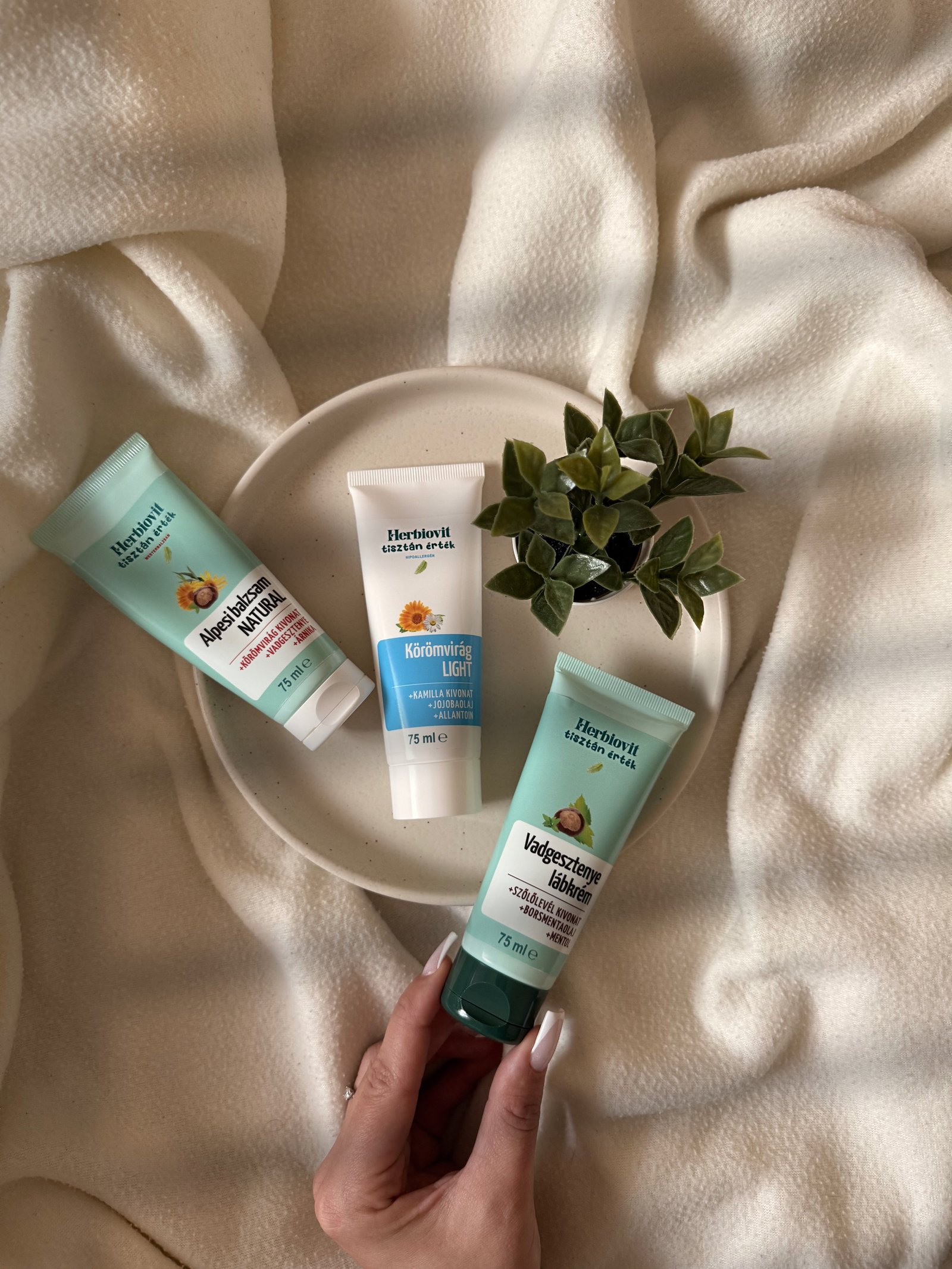 Simacsek-Kun Nikolett portfolio