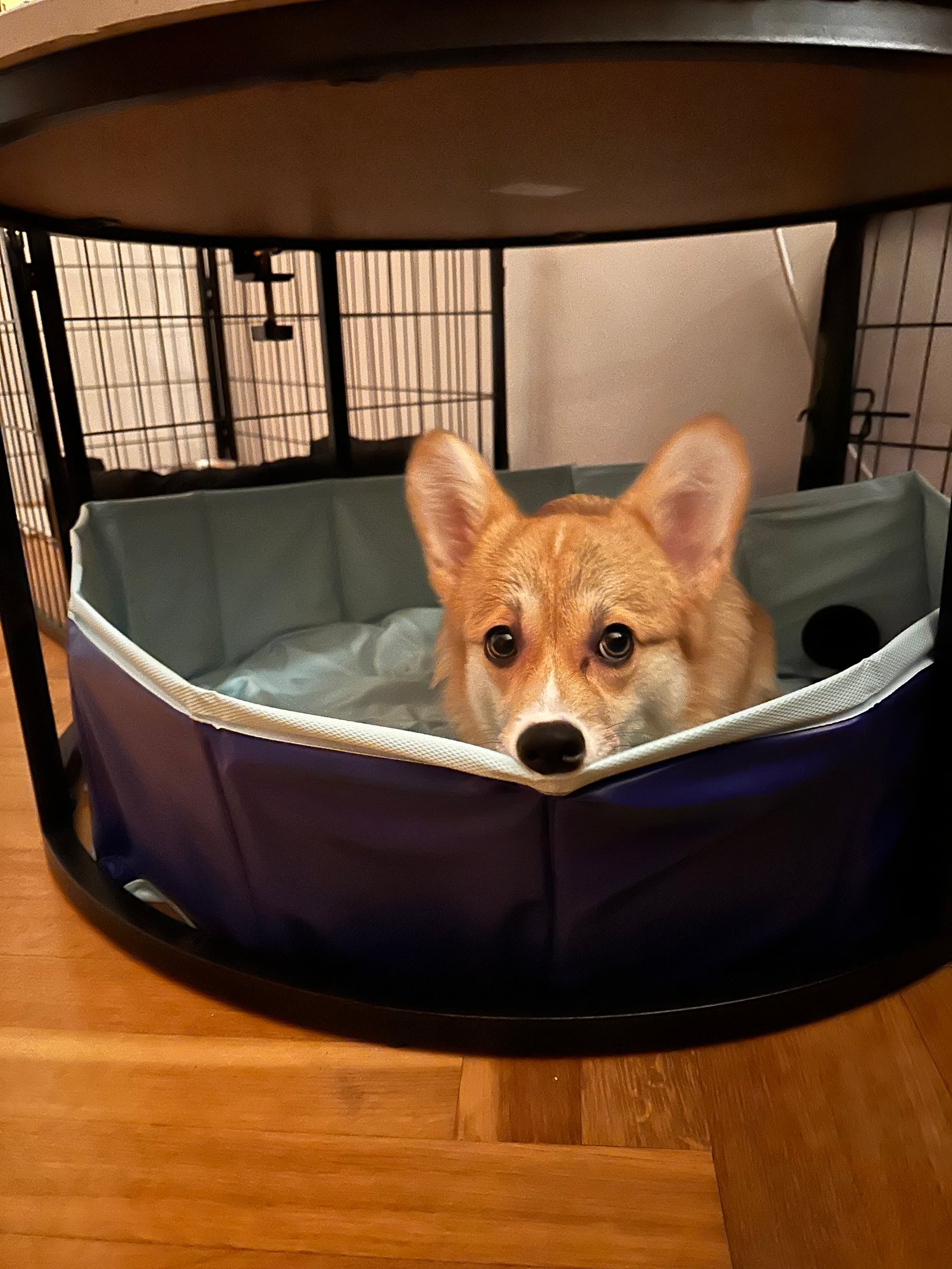 Csató Enikő portfolio