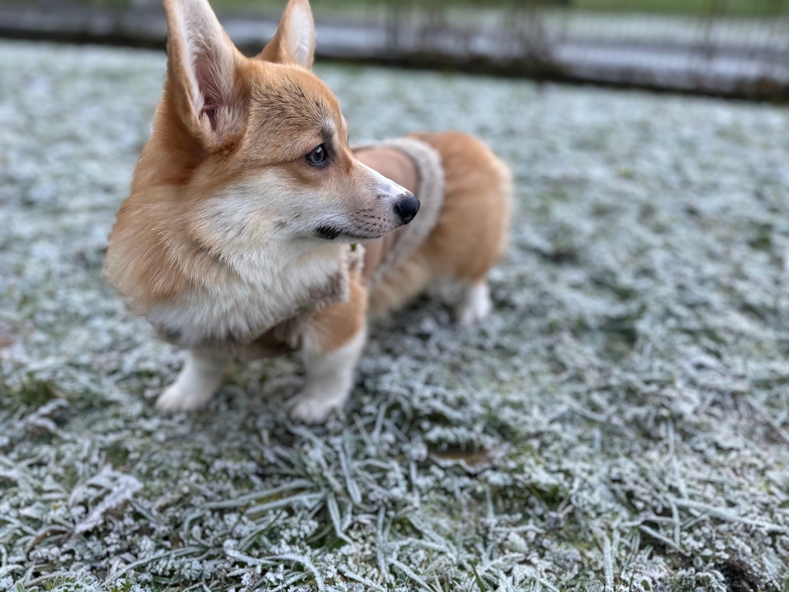 Csató Enikő portfolio