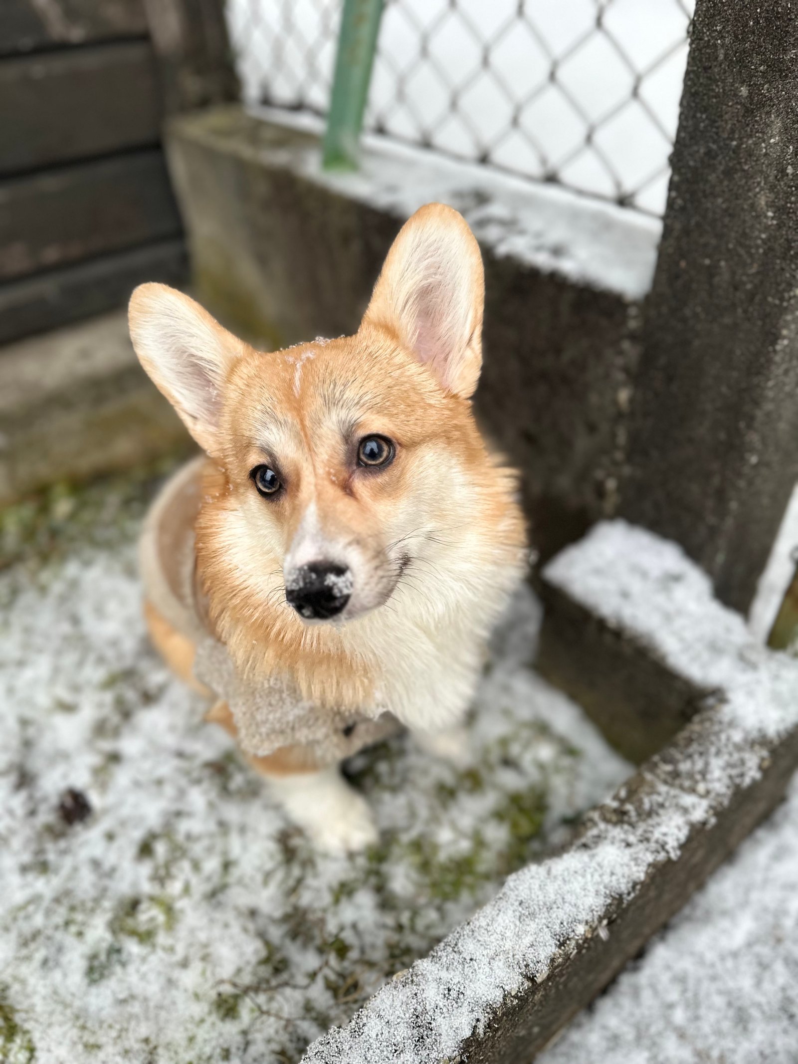 Csató Enikő portfolio