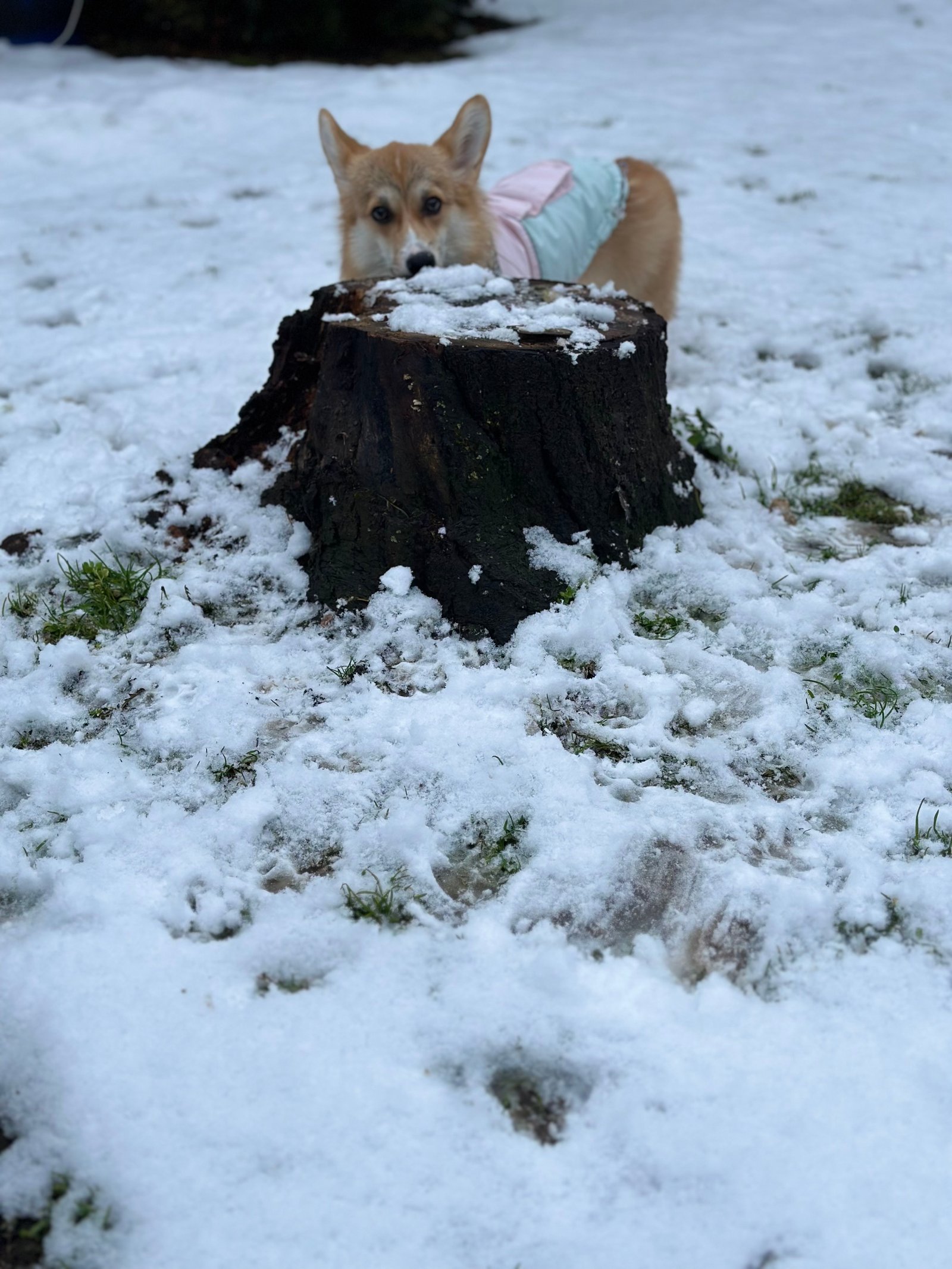 Csató Enikő portfolio