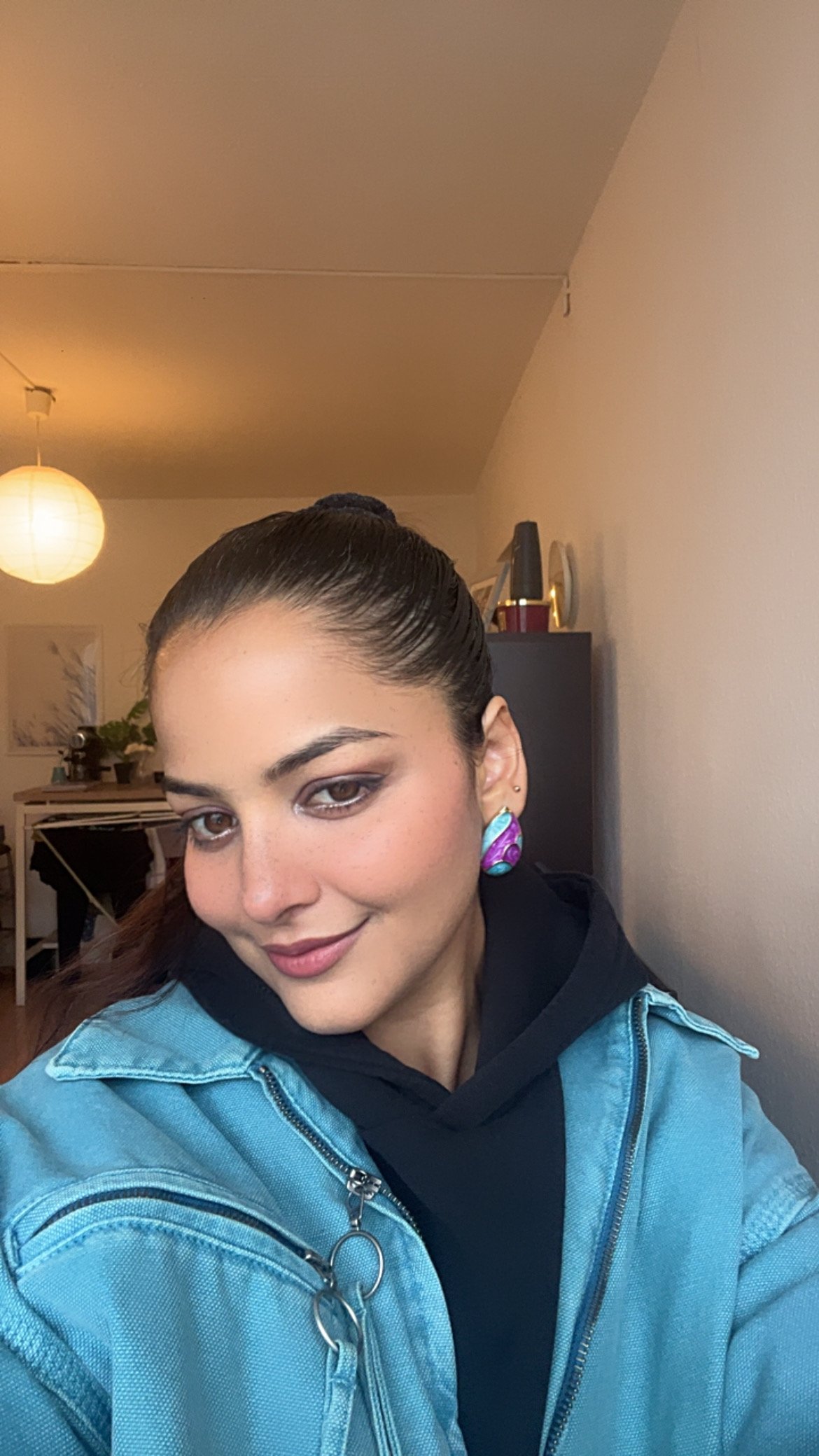 Monika agrawal portfolio