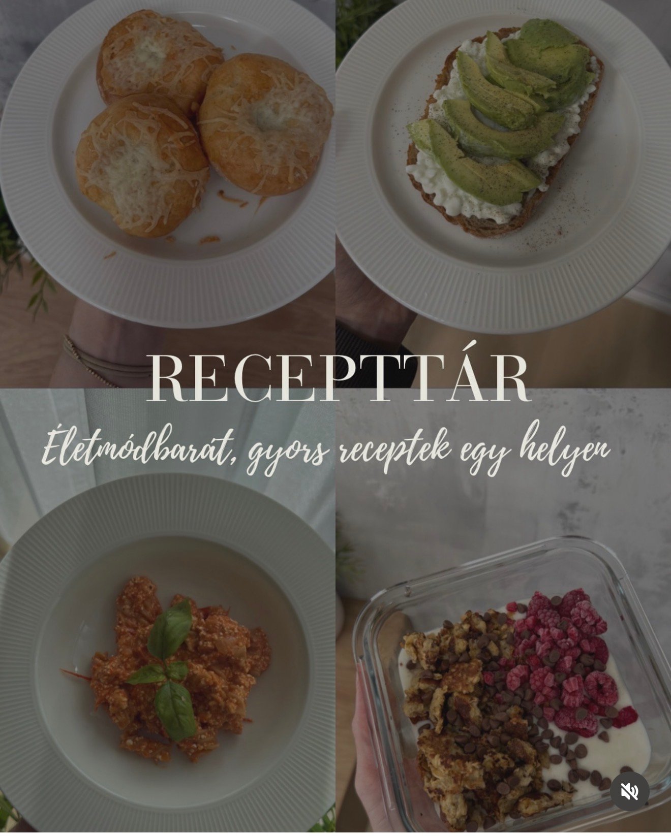 Miller-Toldi Jessica portfolio