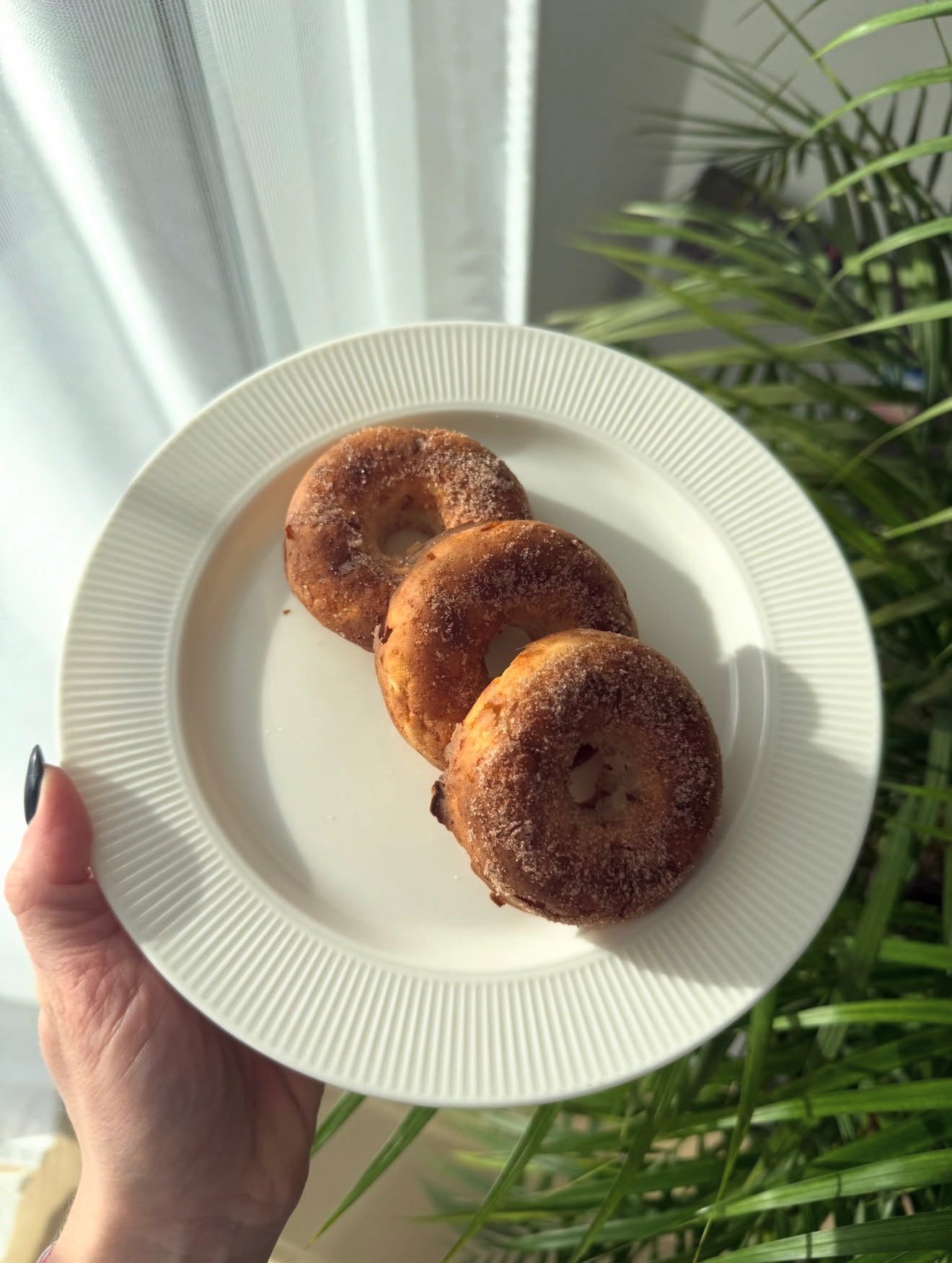 Miller-Toldi Jessica portfolio