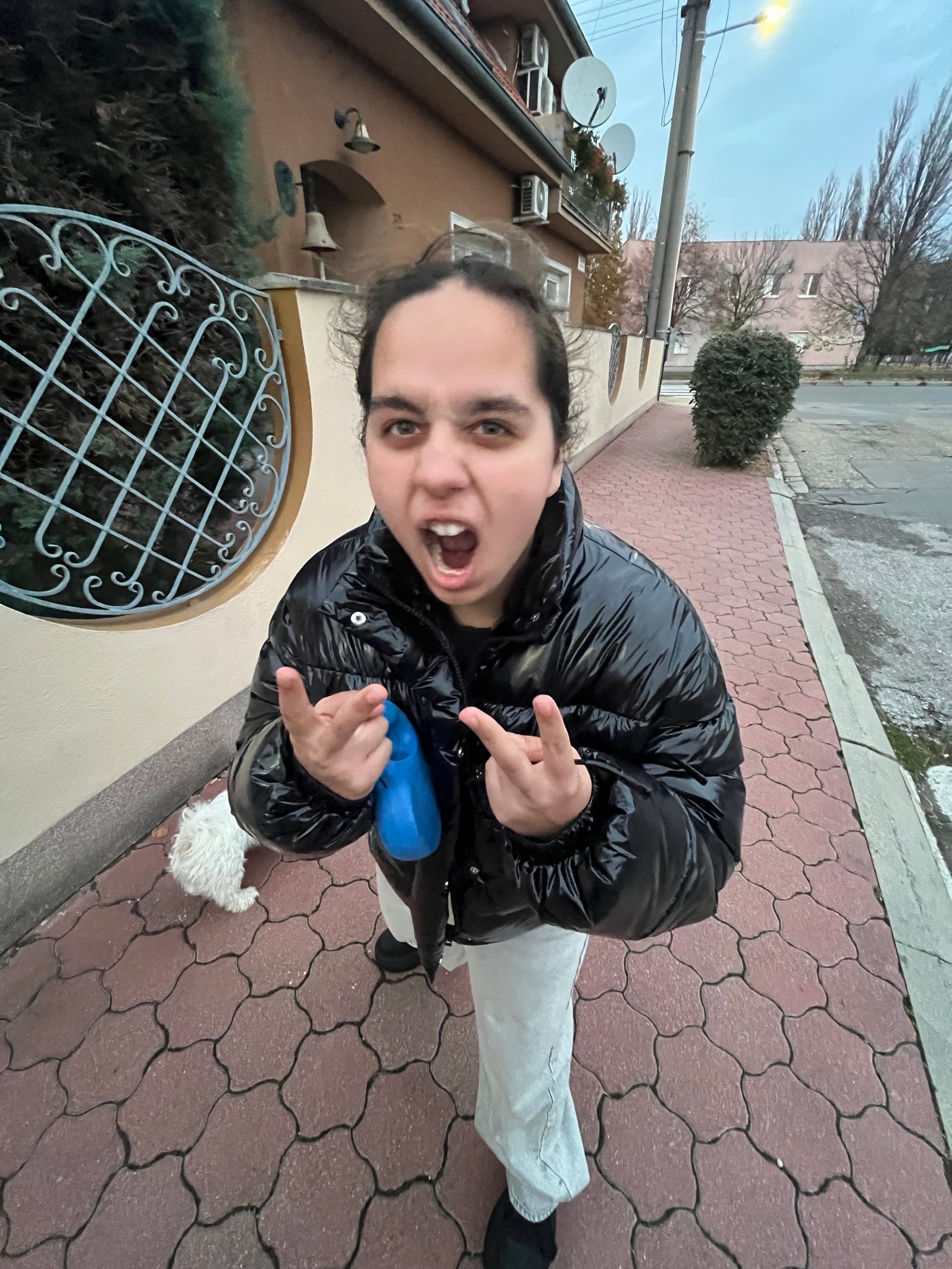 Farkas Vivien Virág portfolio