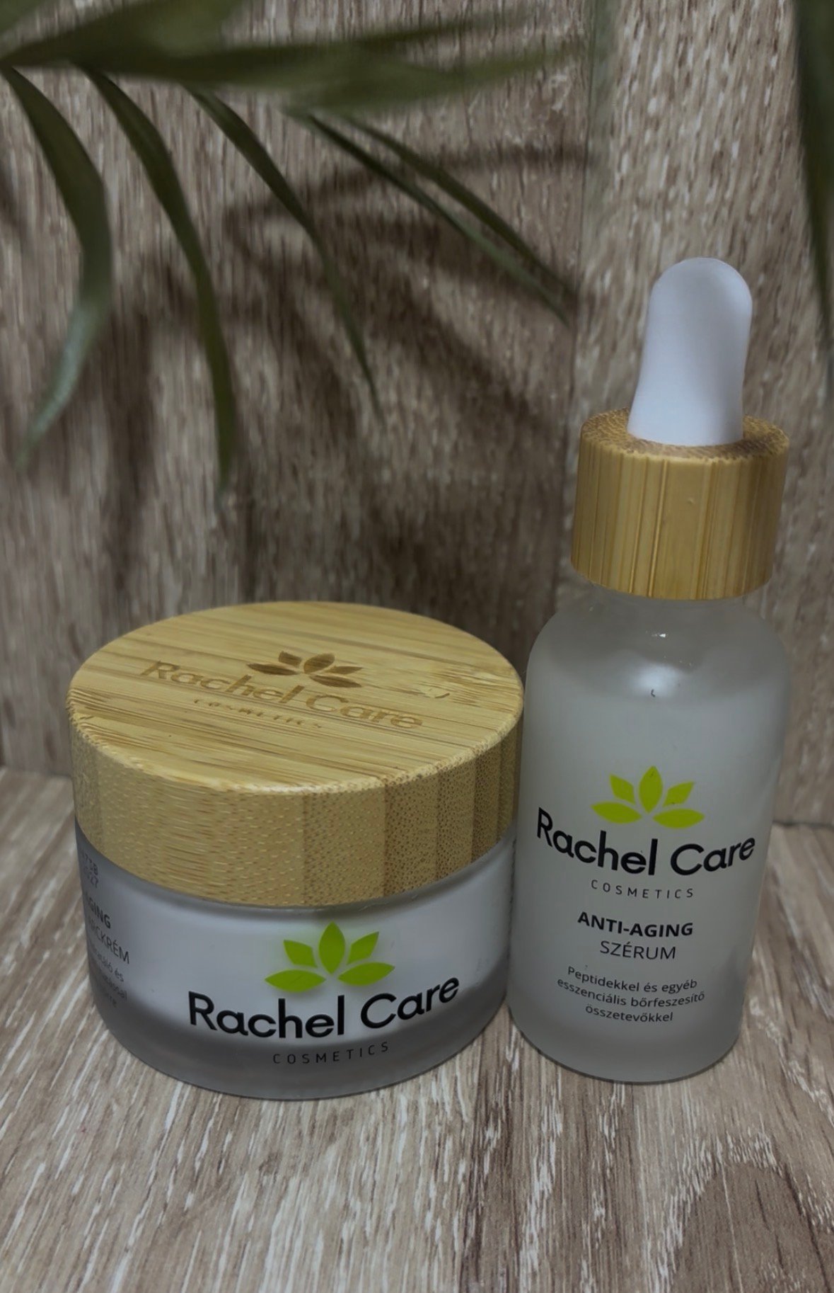 Mohácsi Andrea portfolio