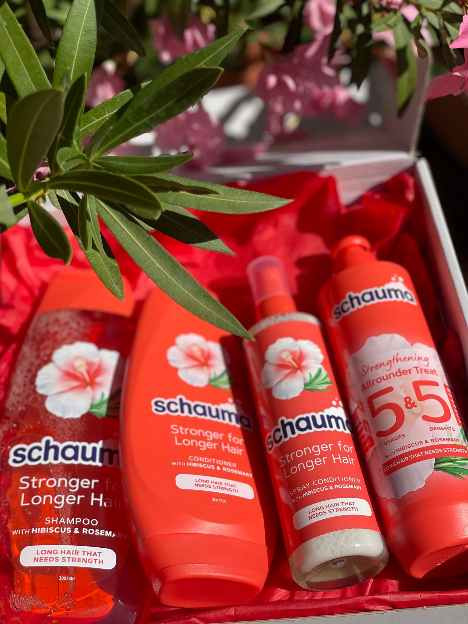 Németh Rebeka portfolio