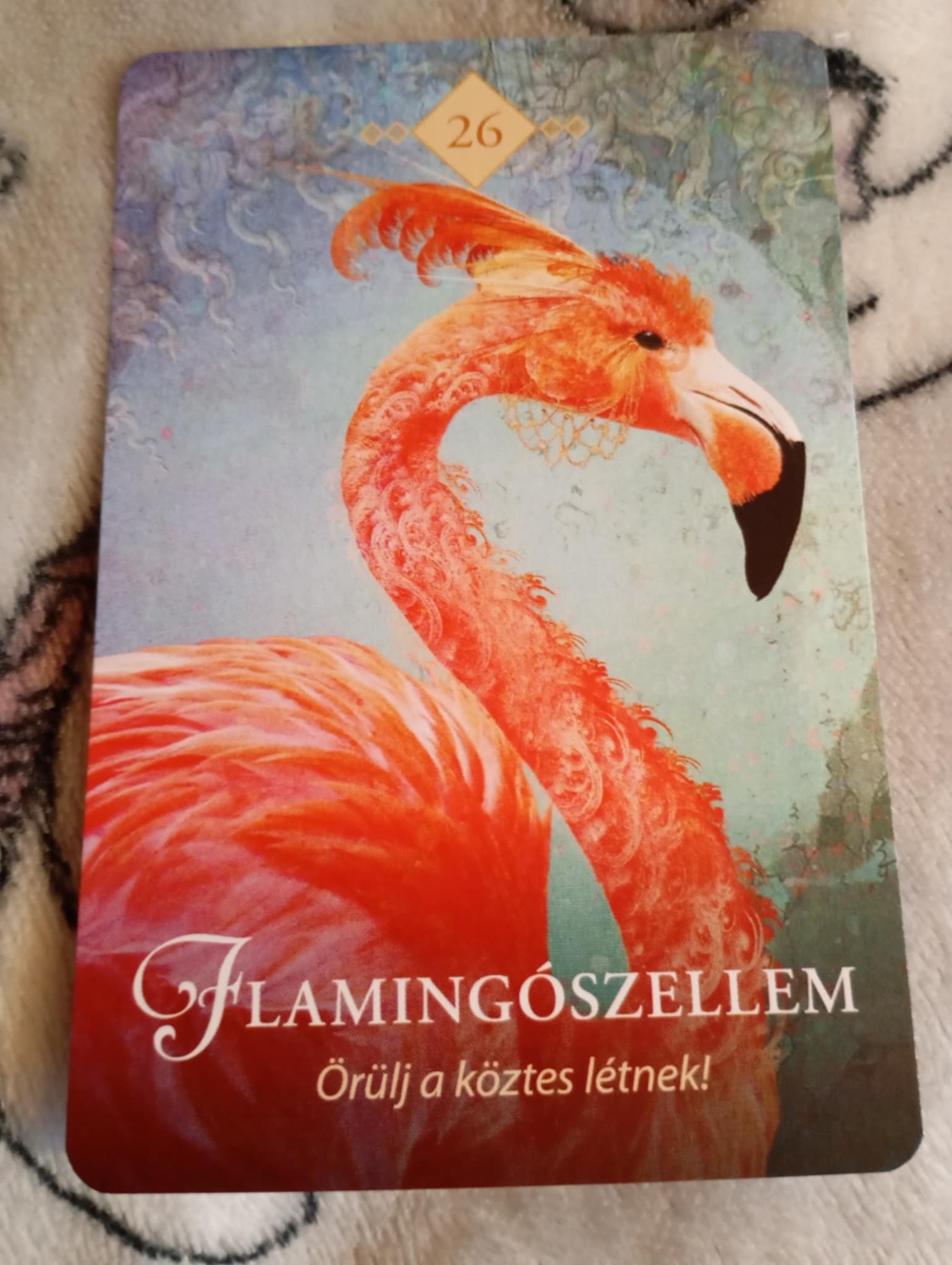 Németh Anna portfolio