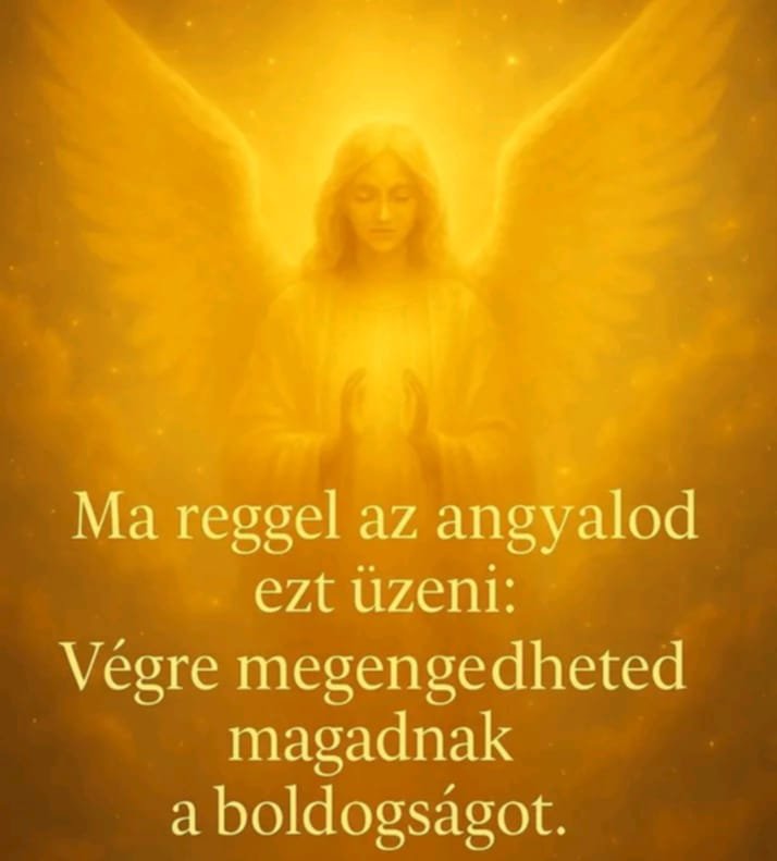 Németh Anna portfolio