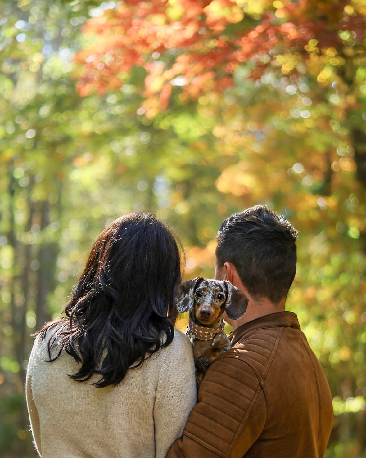 Tóth Titanilla portfolio