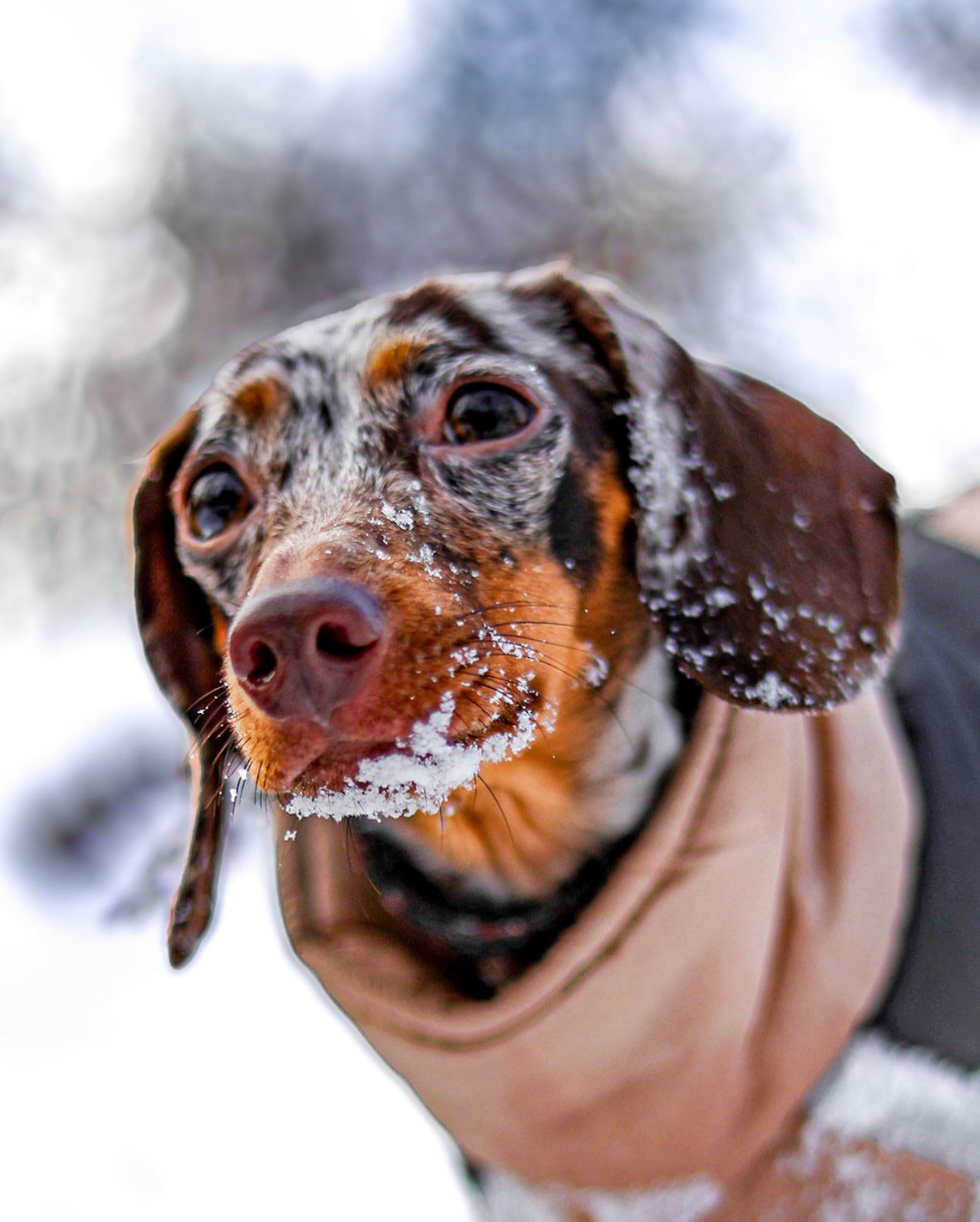 Tóth Titanilla portfolio