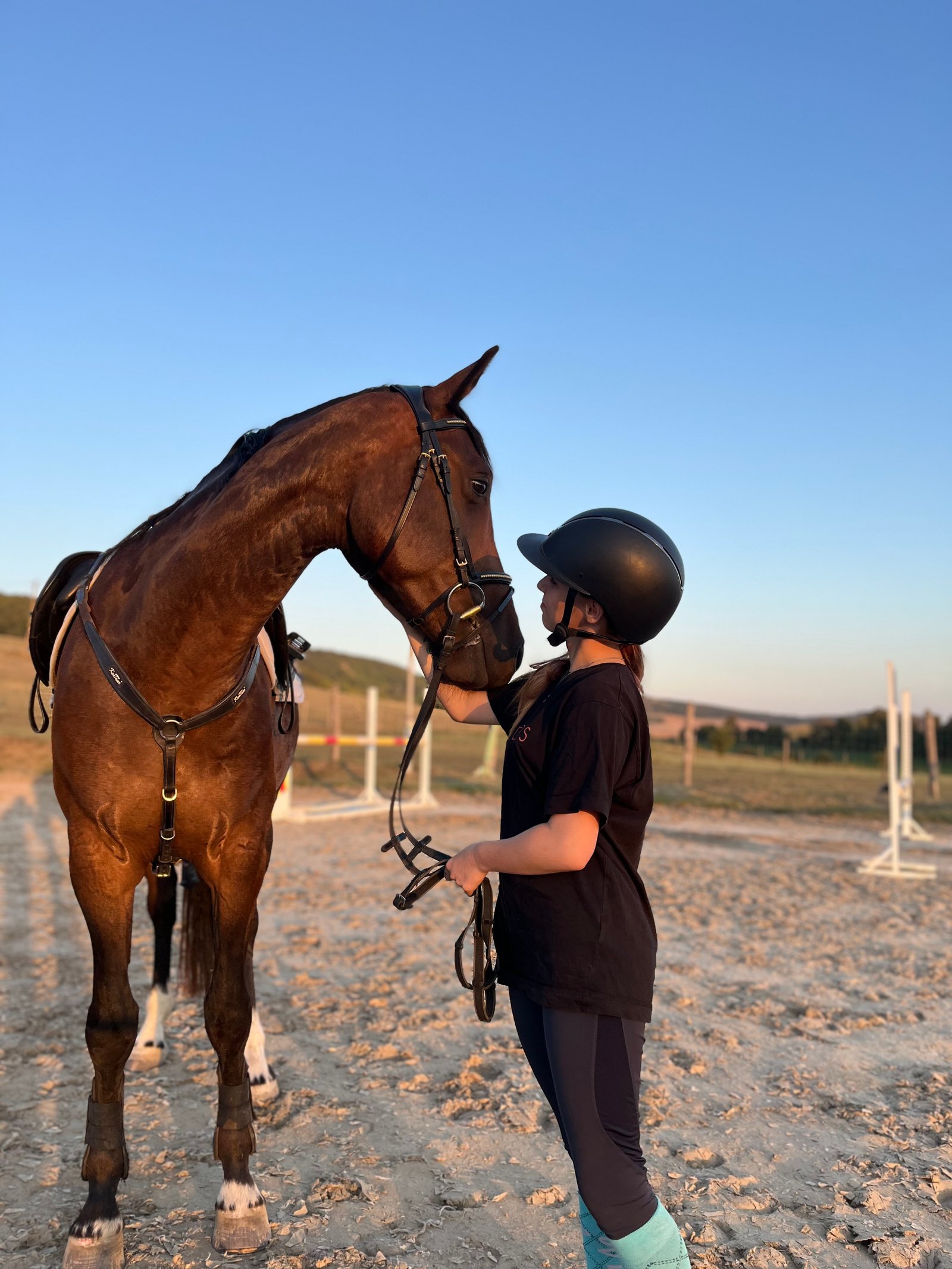 Dénes edina Gabriella portfolio