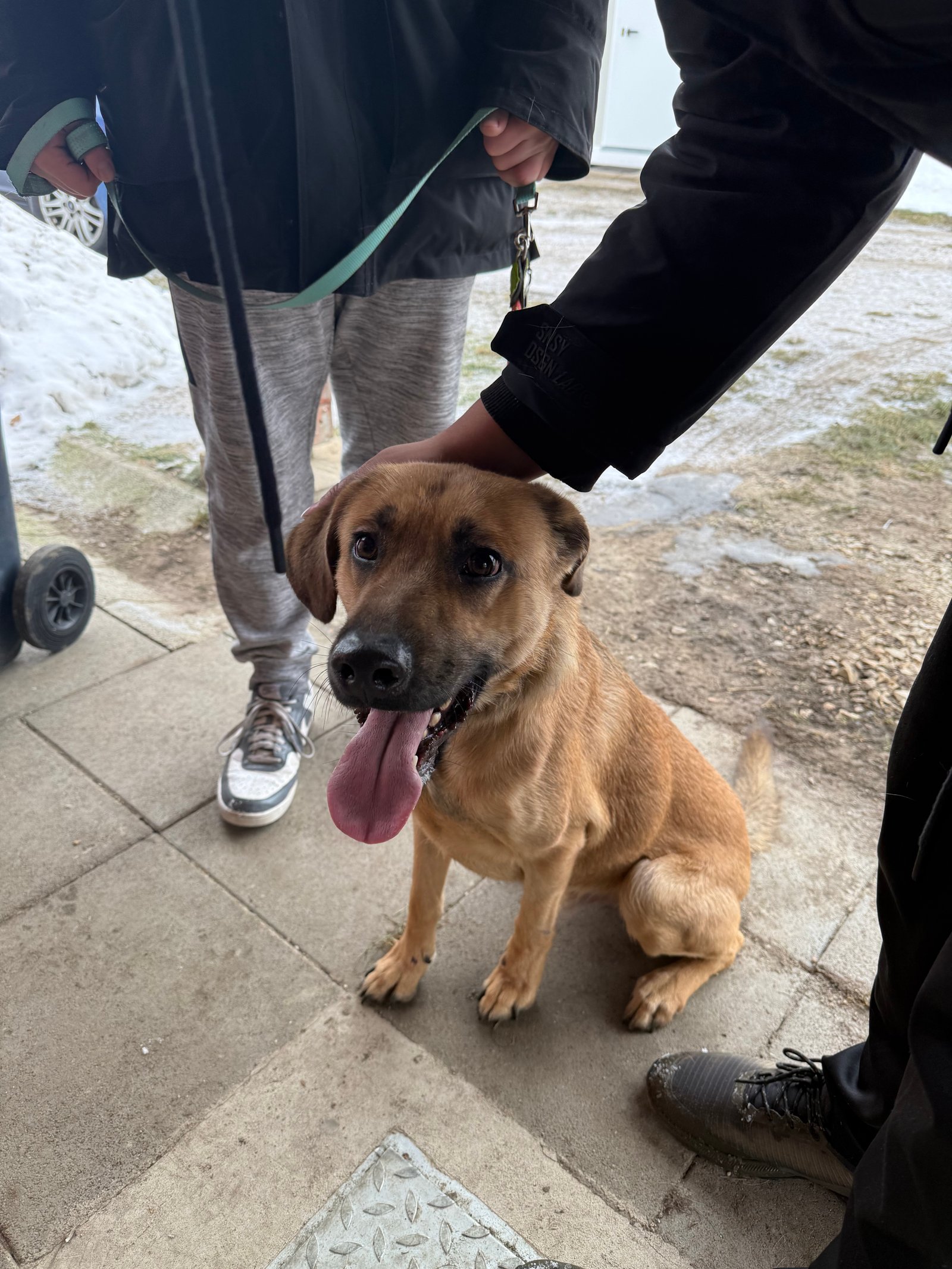 Dénes edina Gabriella portfolio