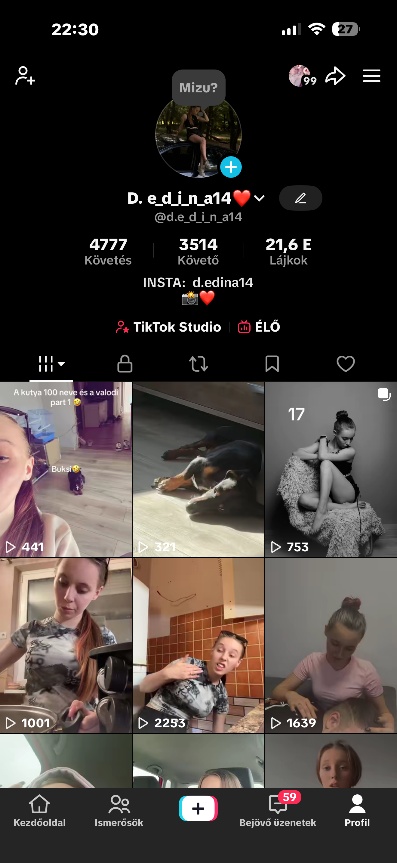 Dénes edina Gabriella portfolio